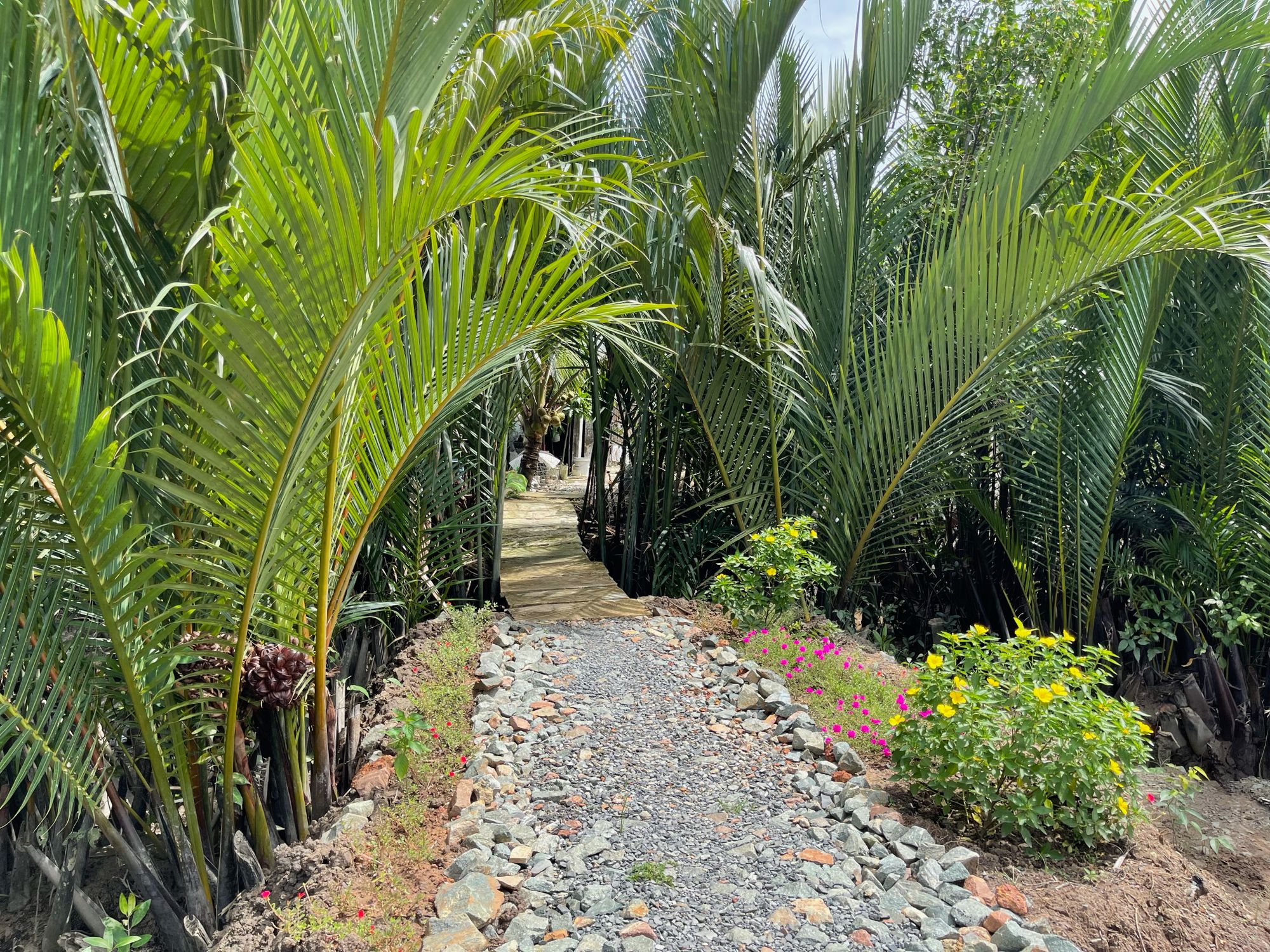 Khám phá những vùng đất cũ