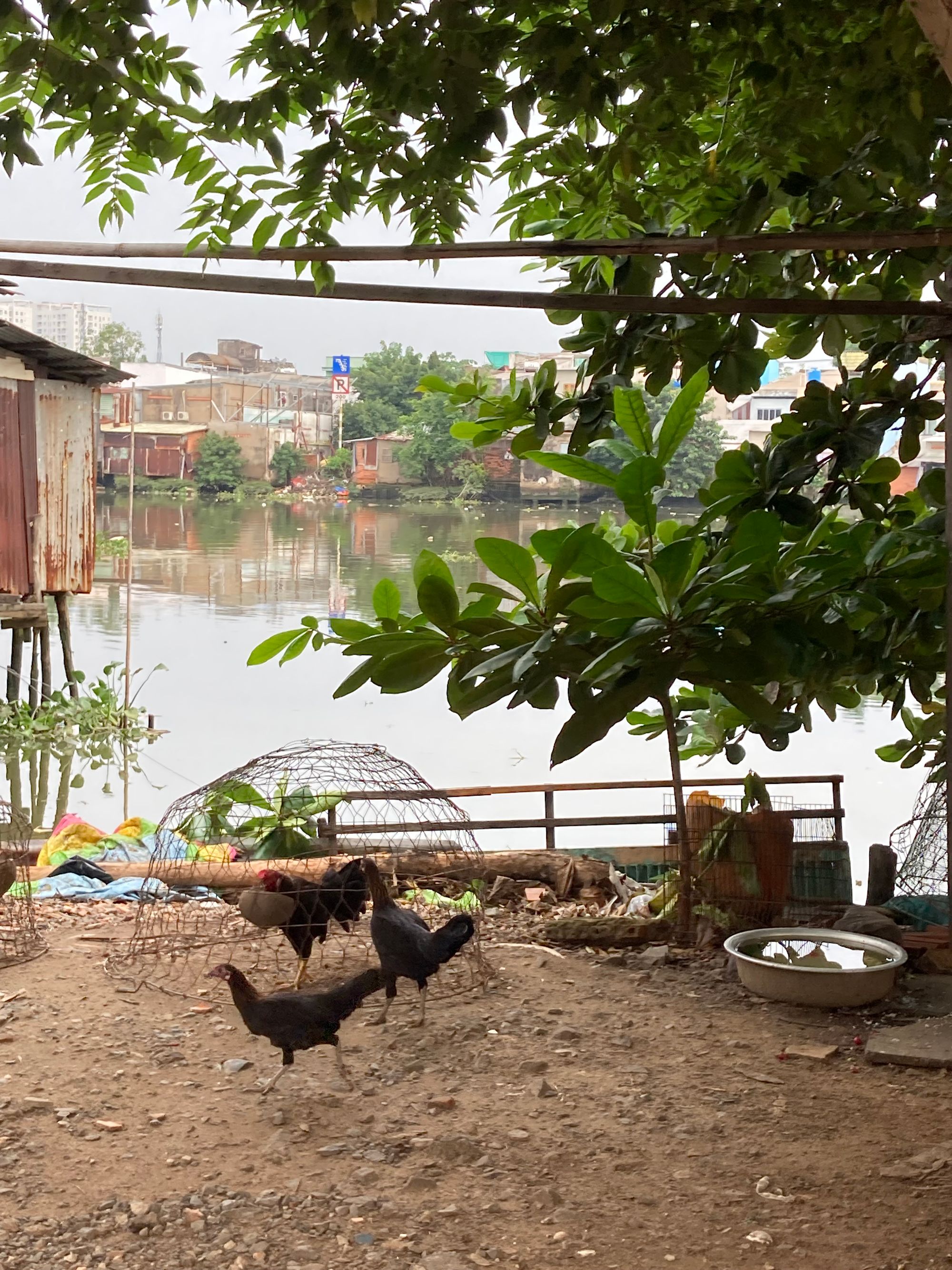Ba ốc đảo kỳ lạ giữa Sài Gòn