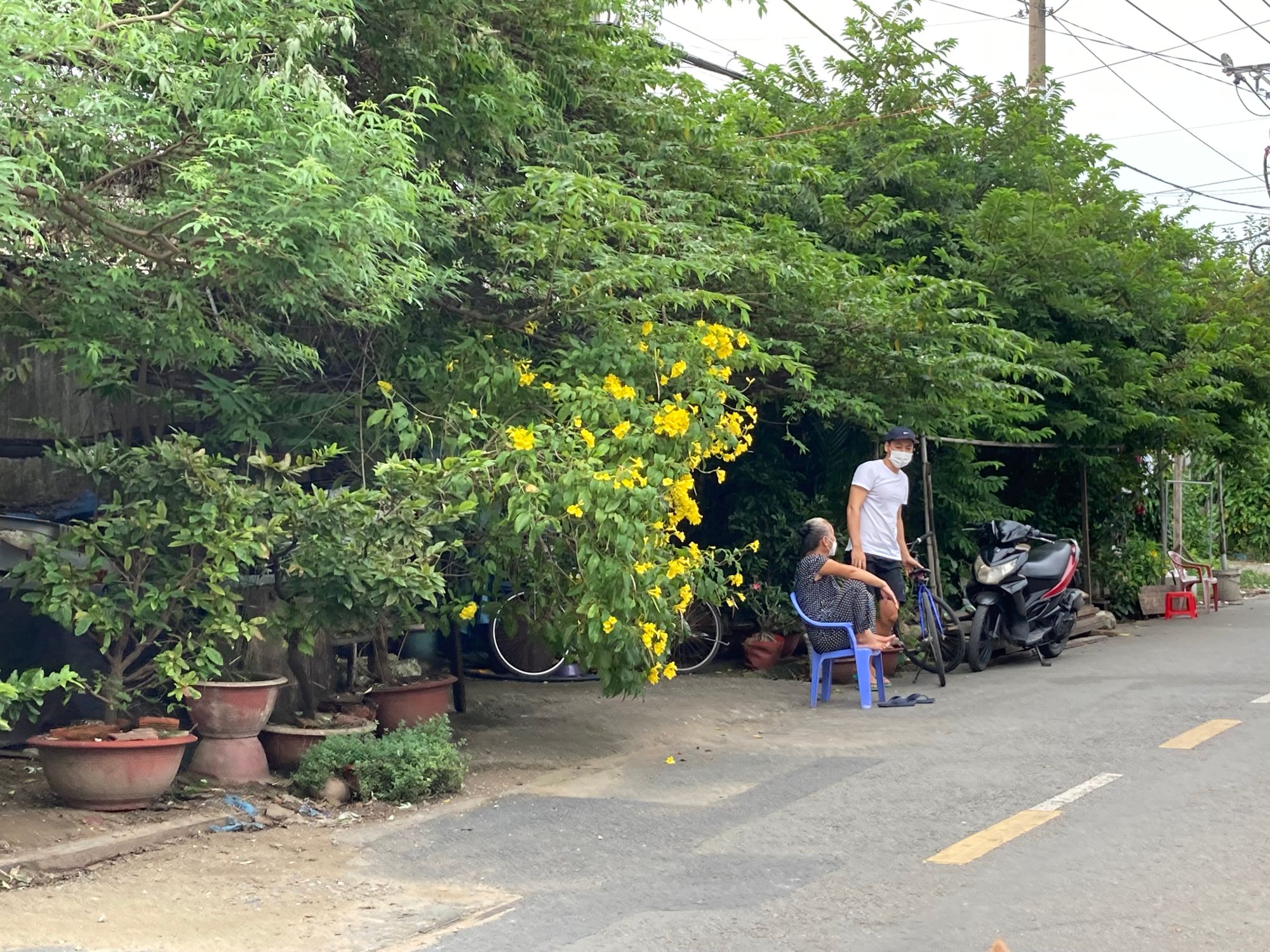 Ba ốc đảo kỳ lạ giữa Sài Gòn
