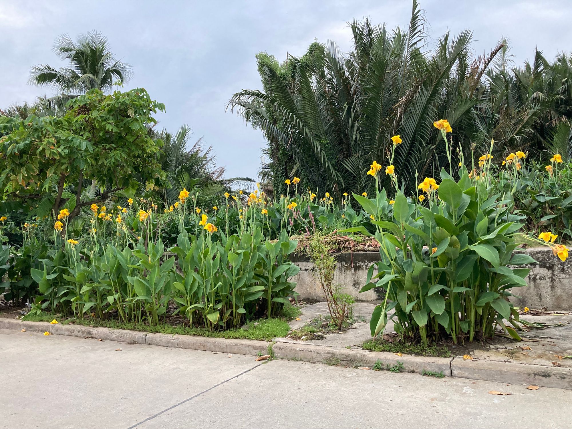 Ba ốc đảo kỳ lạ giữa Sài Gòn