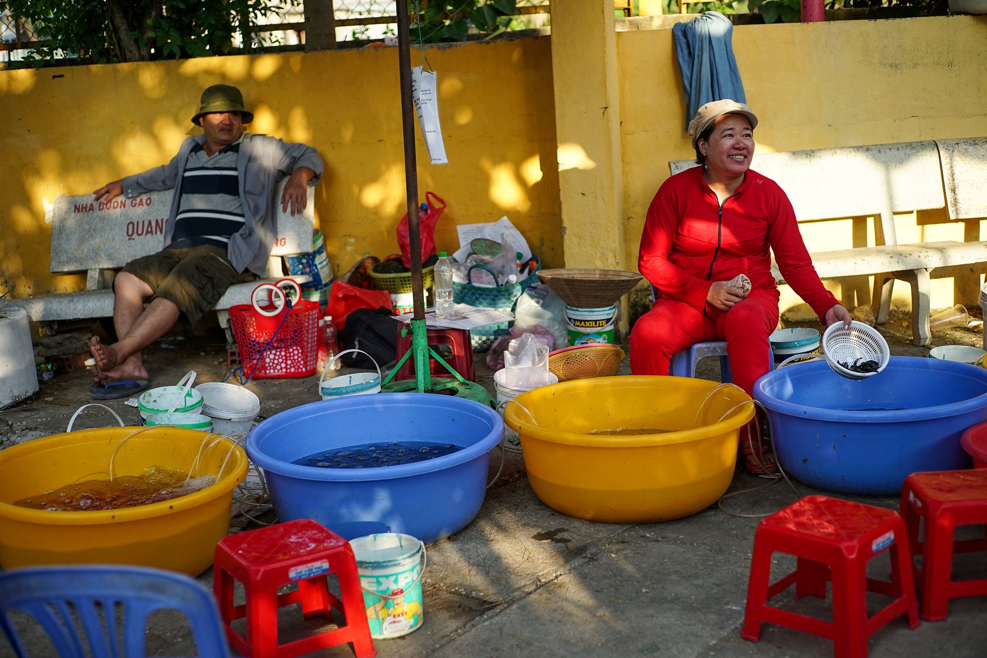 Đi thuyền qua đình Bình Đông