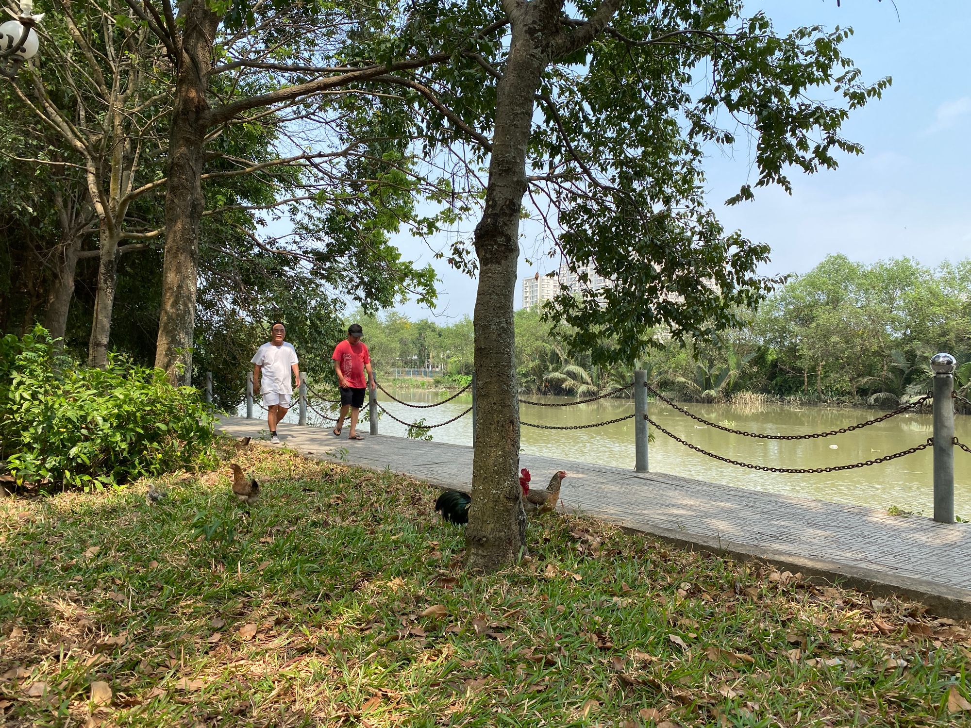 Những góc hoàng hôn ở Sài Gòn