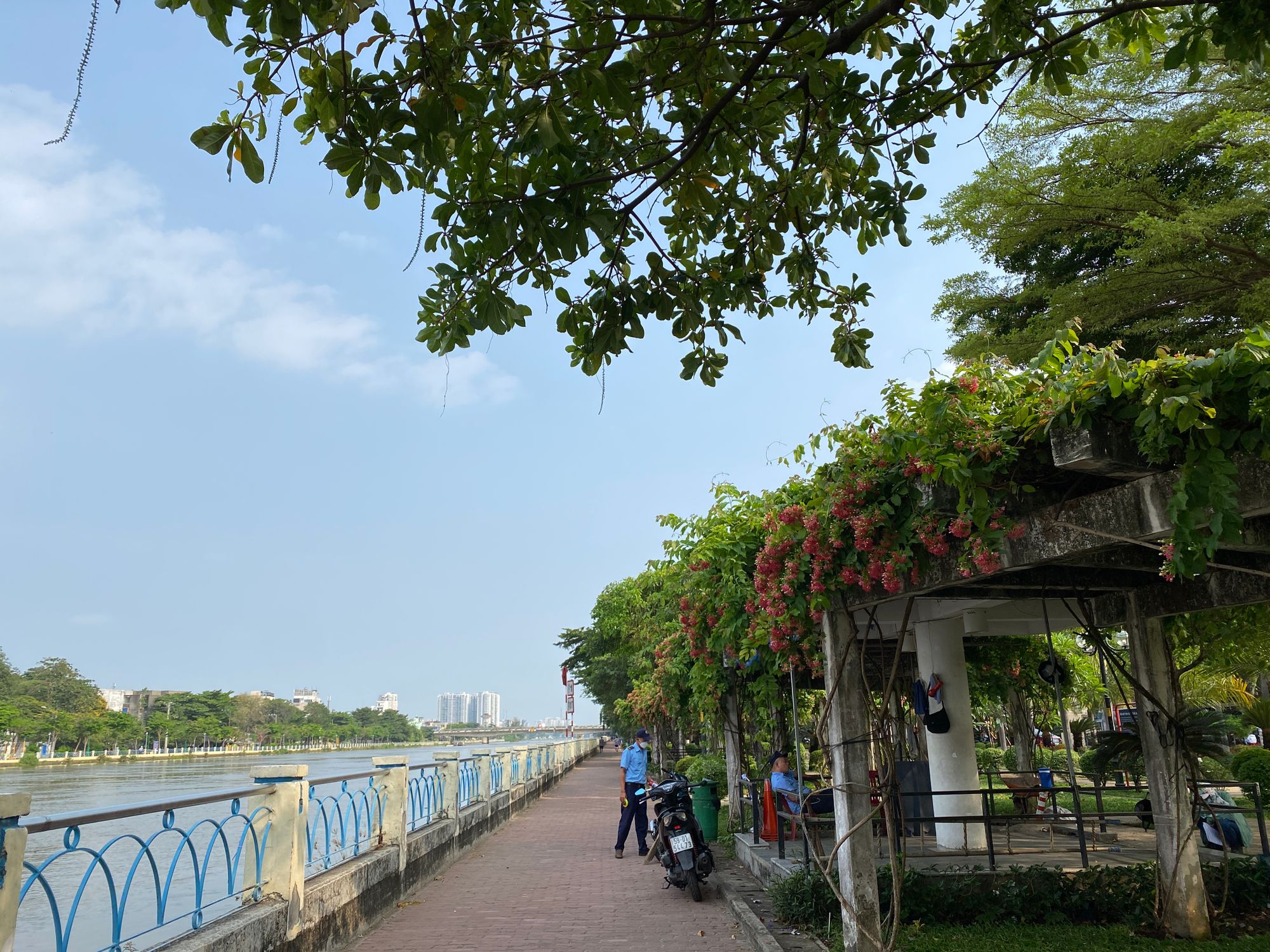 Những góc hoàng hôn ở Sài Gòn