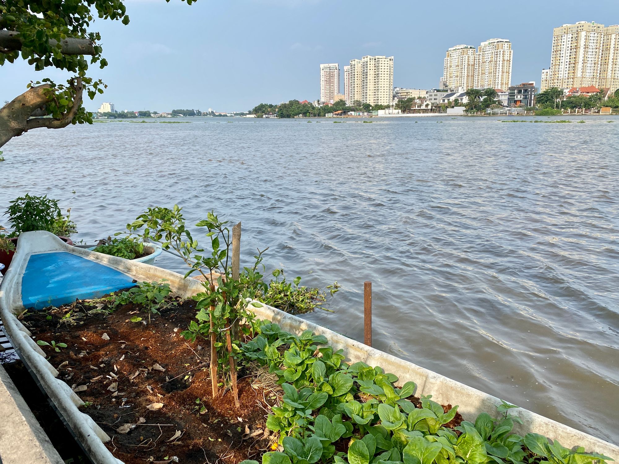 Những góc hoàng hôn ở Sài Gòn