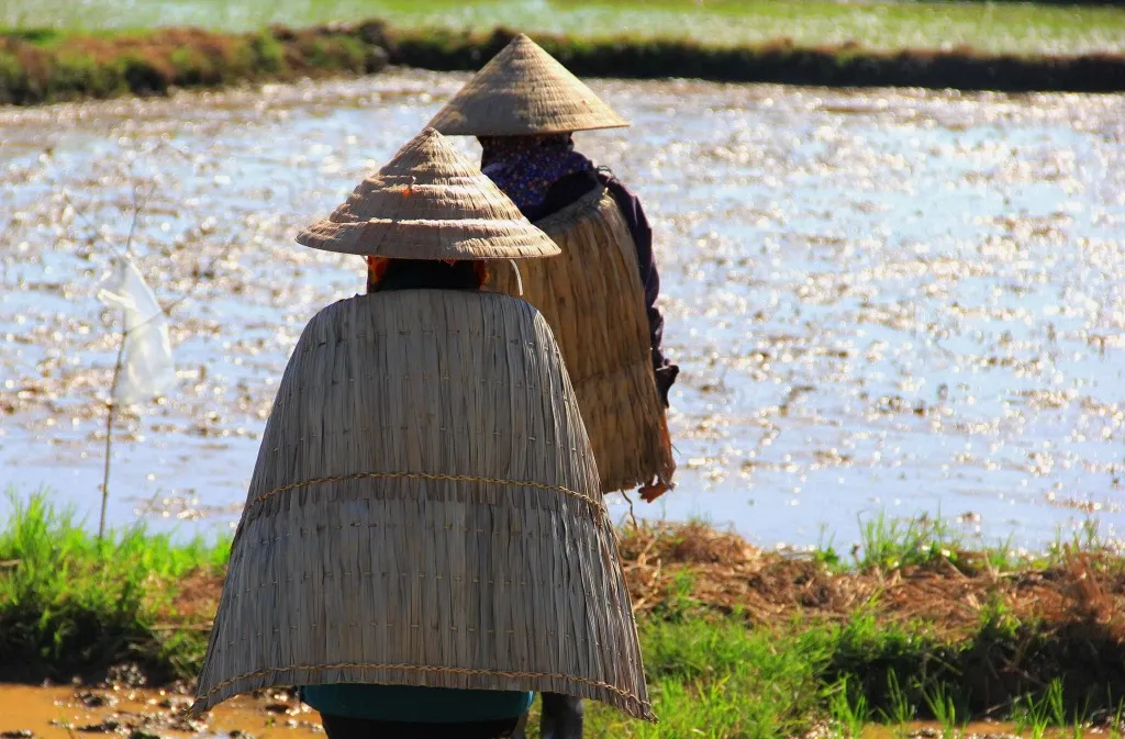 Áo mưa và những chuyện chưa kể