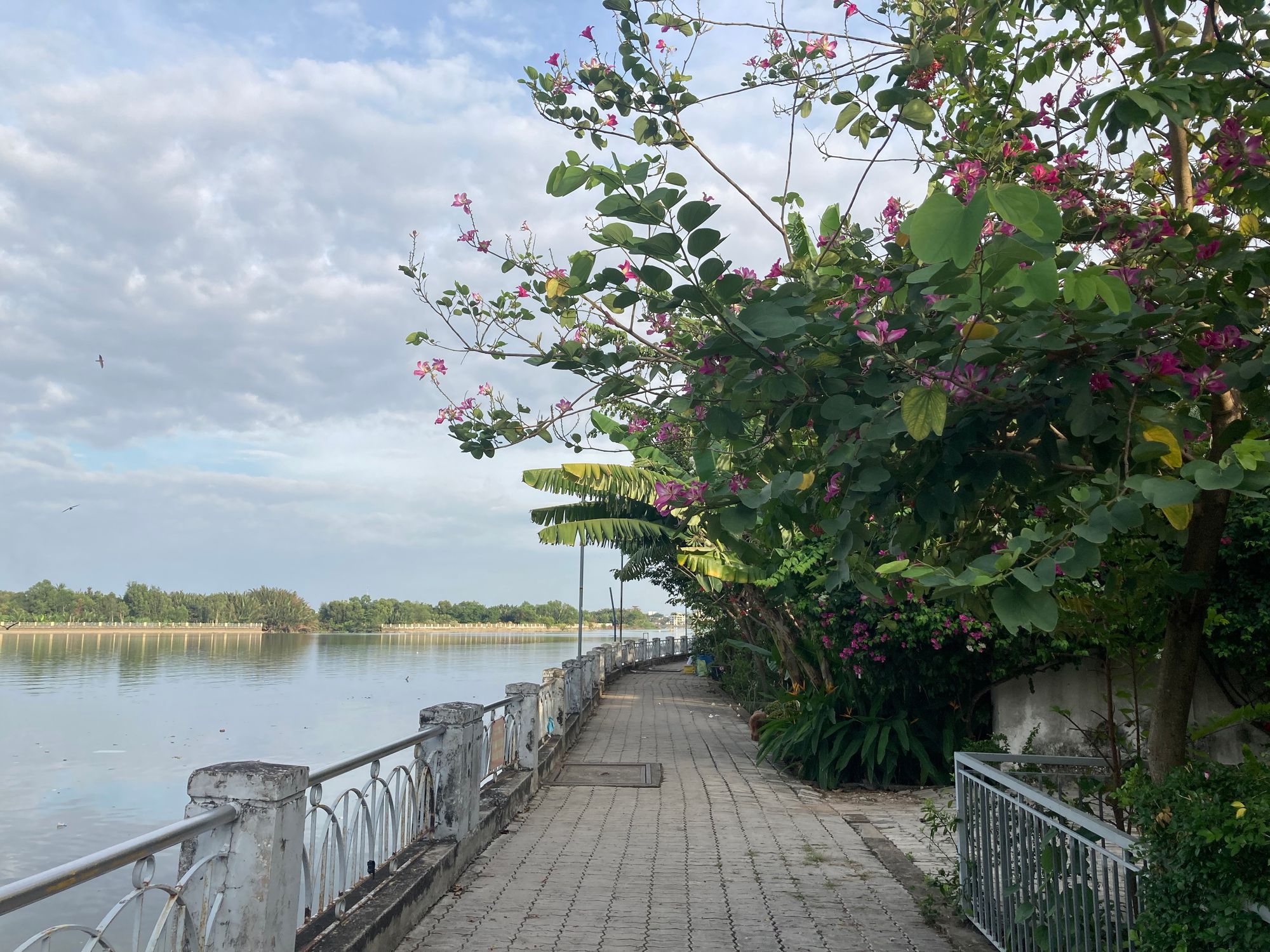 Những góc hoàng hôn ở Sài Gòn