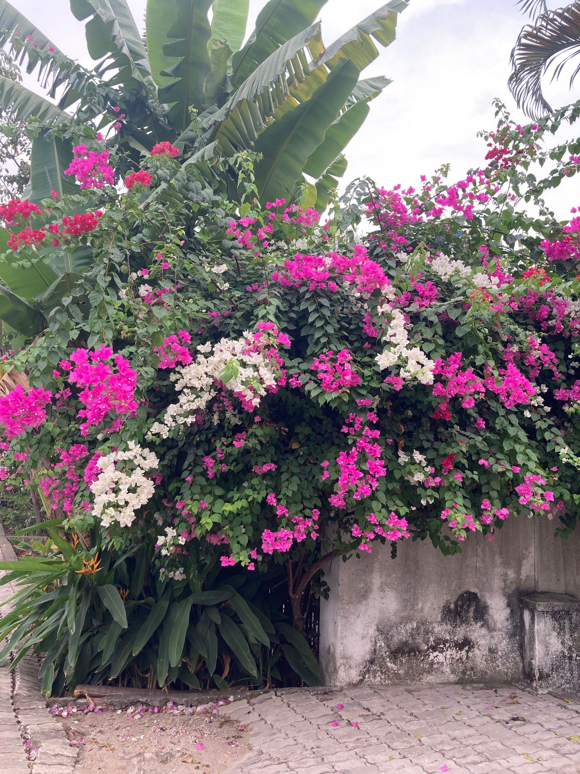 Một Thảo Điền nghèo bình dị