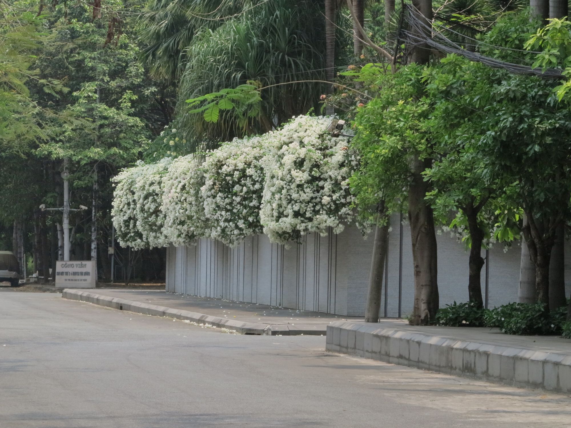 Mùa của những giàn hoa đẹp