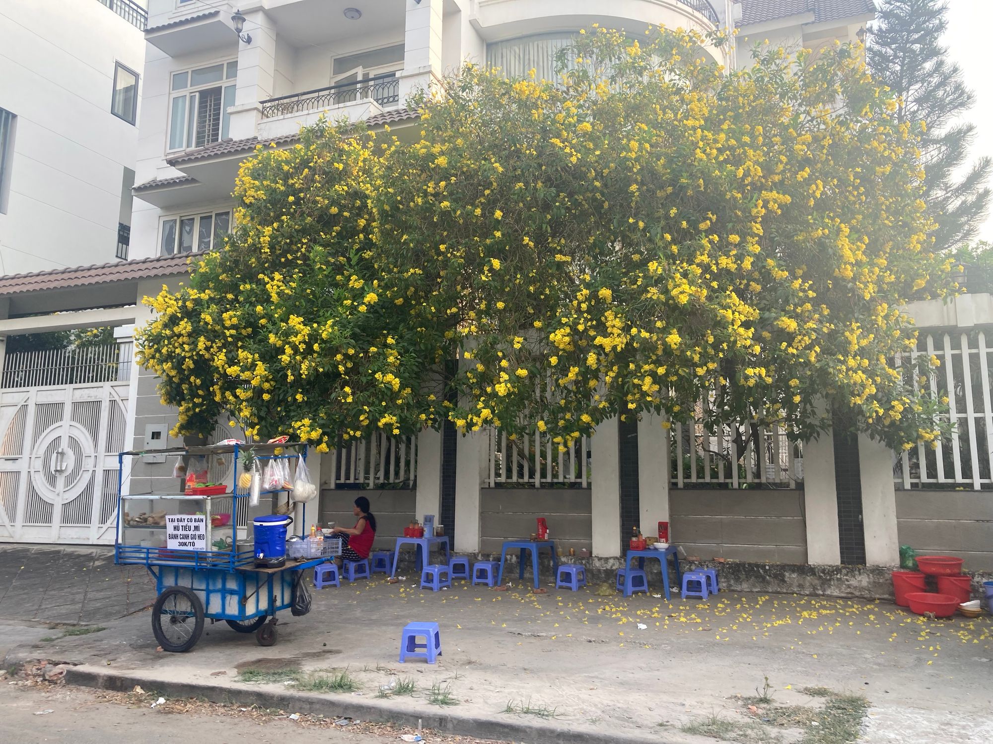 Huyền thoại Mì gõ