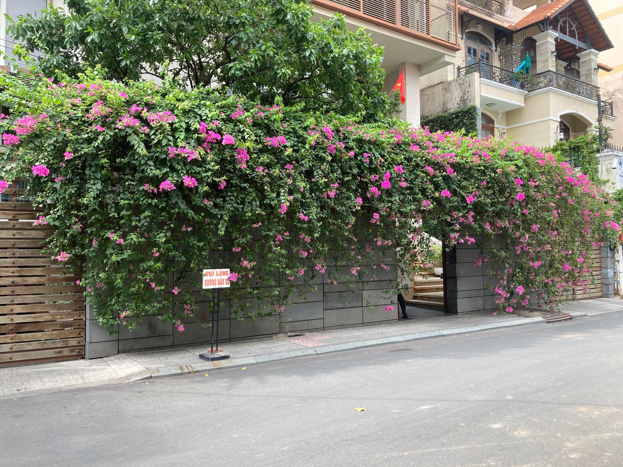 Mùa của những giàn hoa đẹp