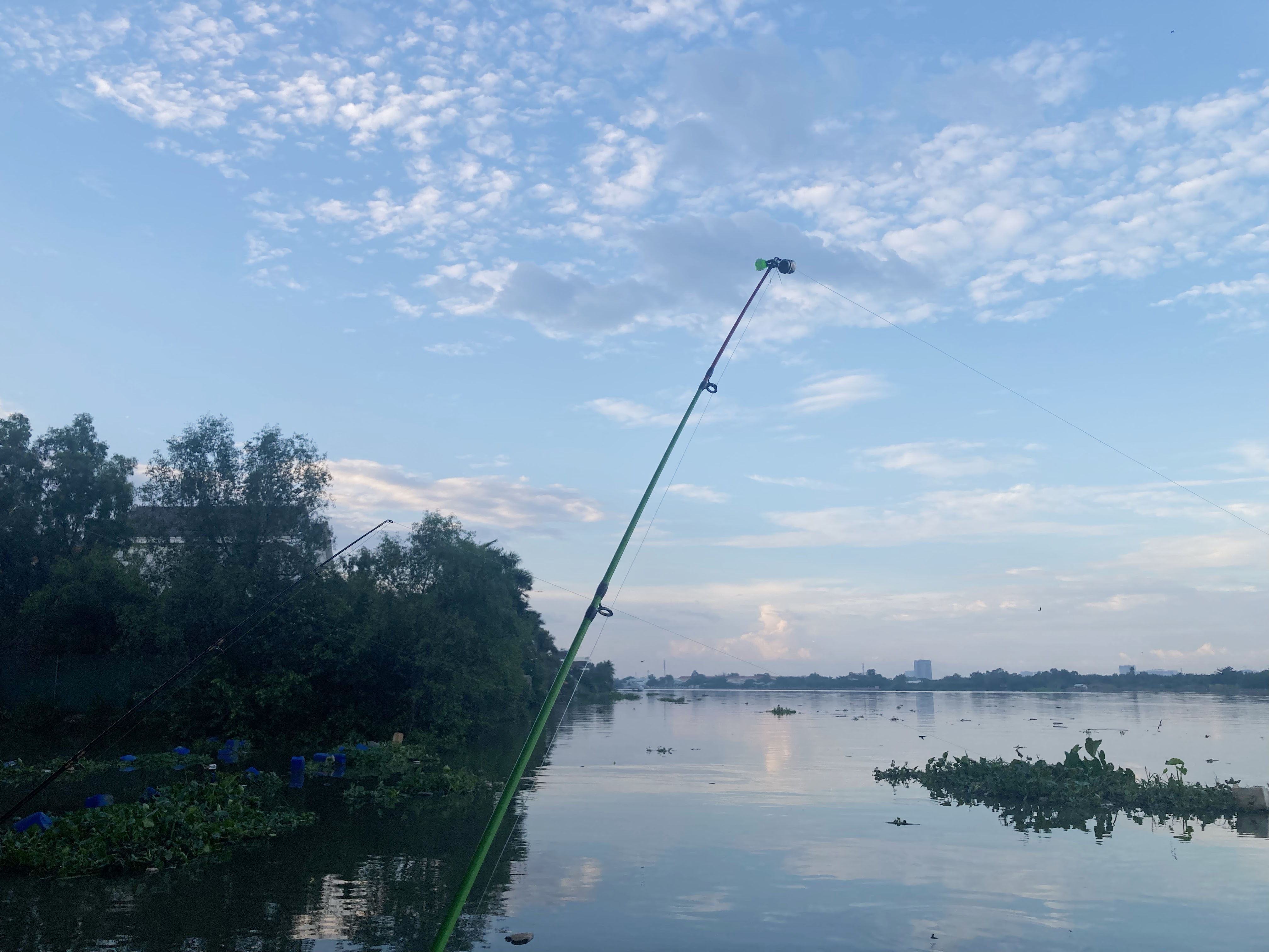 Tại sao có người luôn câu được nhiều cá hơn?
