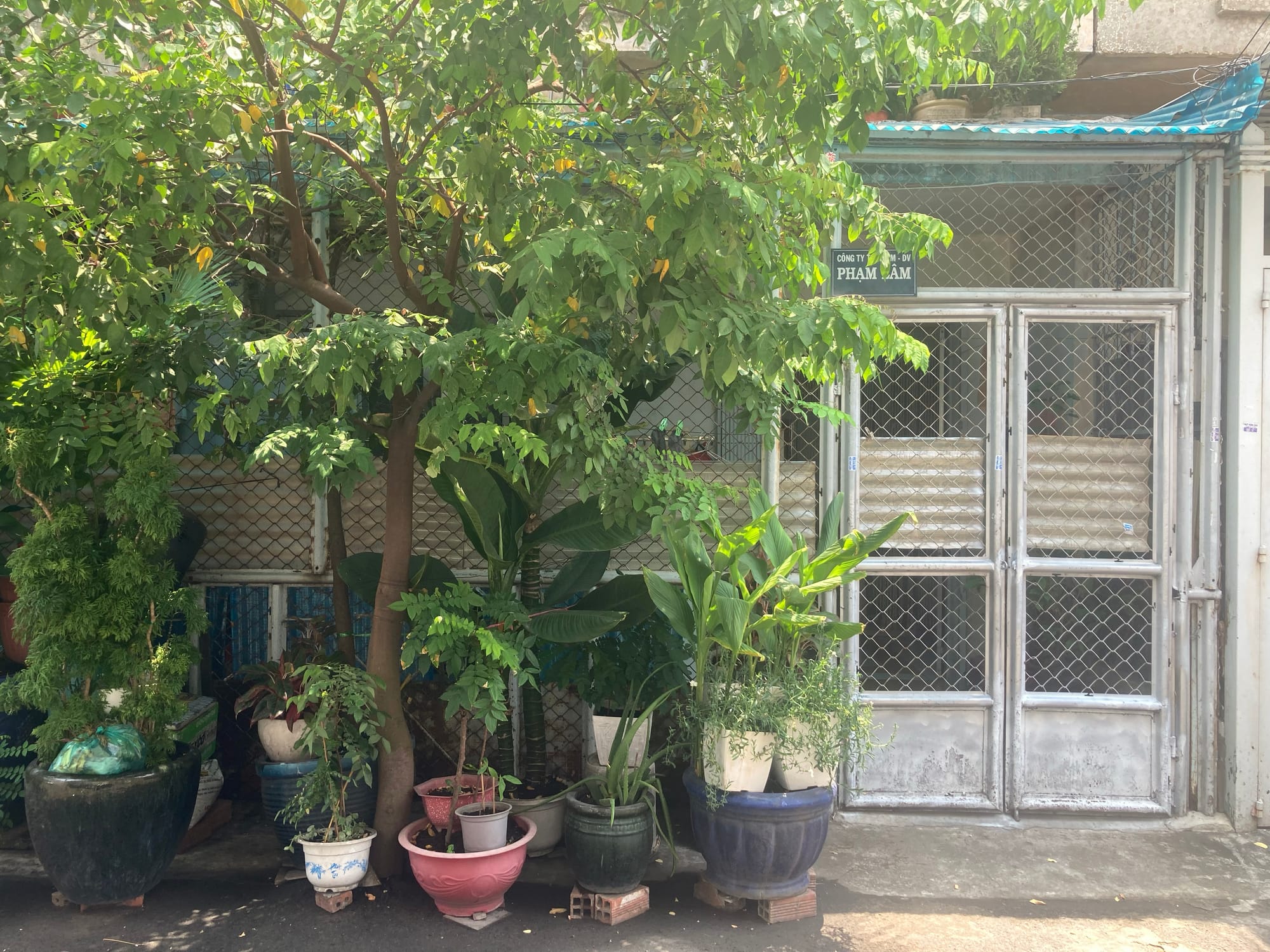 Vẻ đẹp của những ngôi nhà cũ