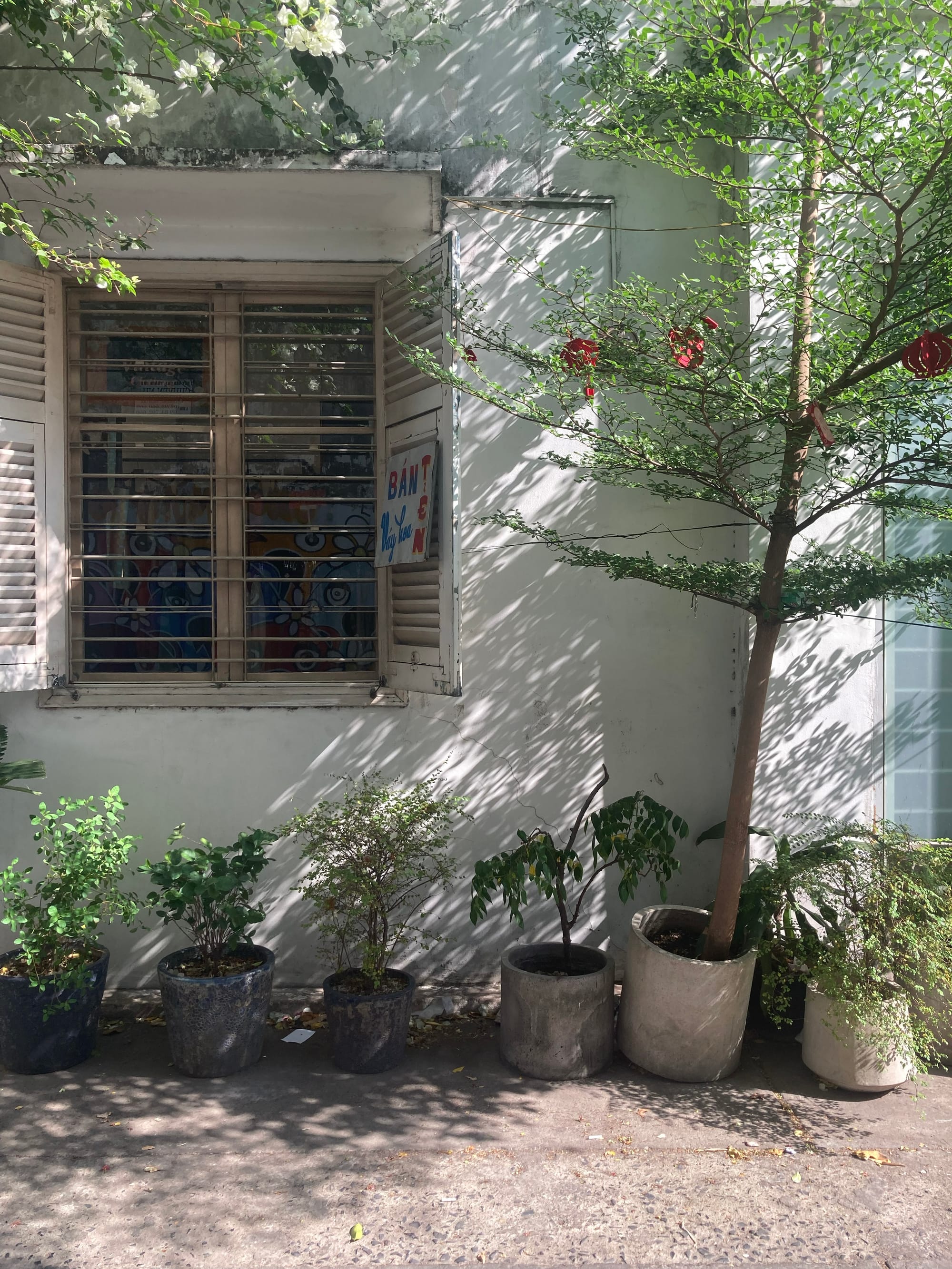 Vẻ đẹp của những ngôi nhà cũ