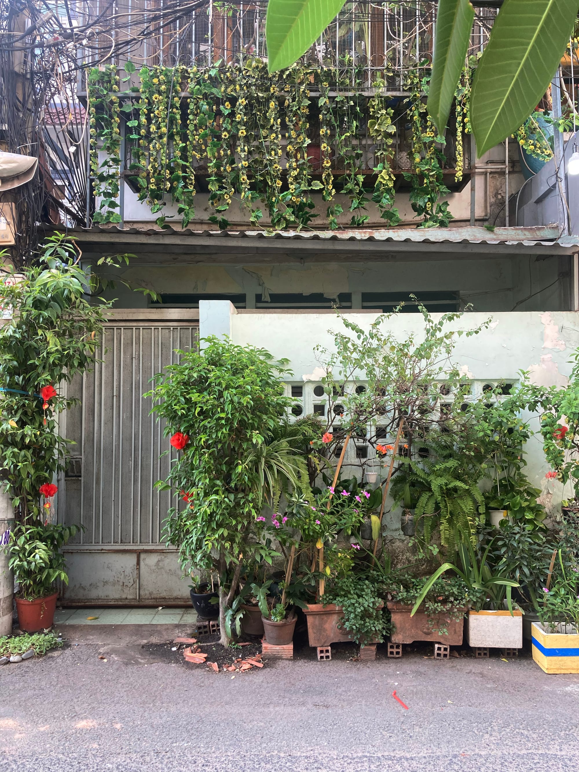 Vẻ đẹp của những ngôi nhà cũ