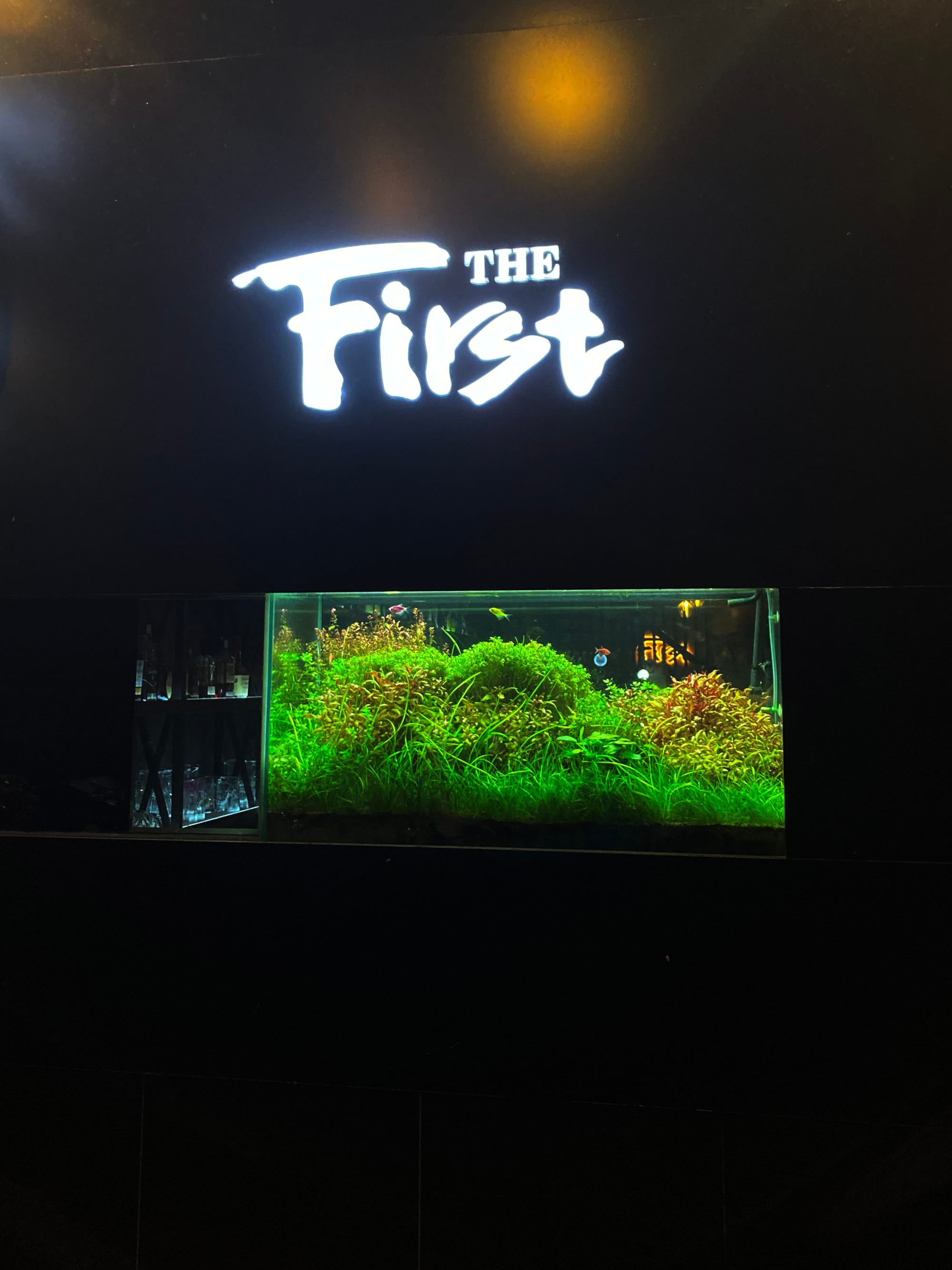 Cocktail như với những người bạn cũ