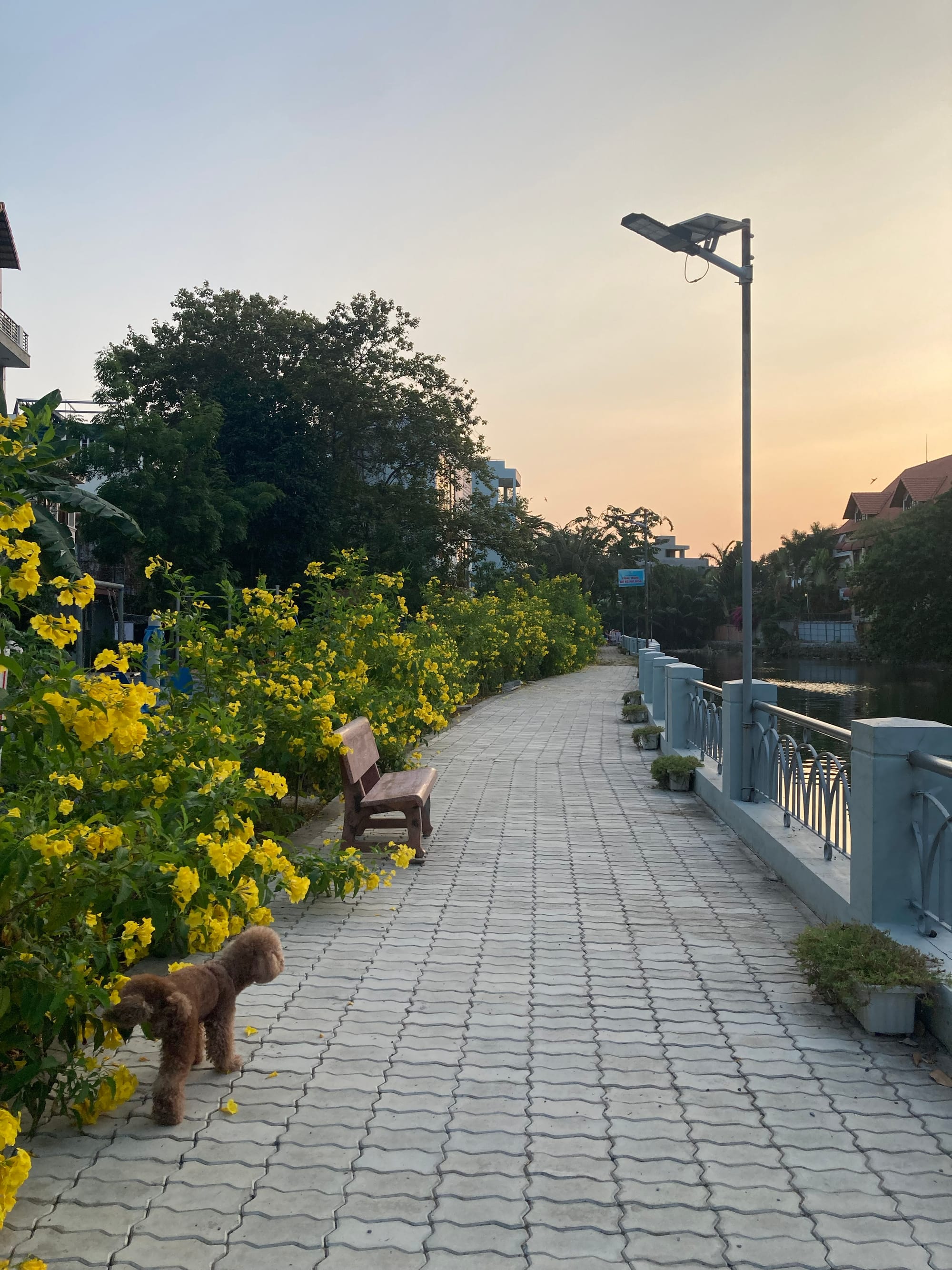 Tại sao tôi yêu Sài Gòn?