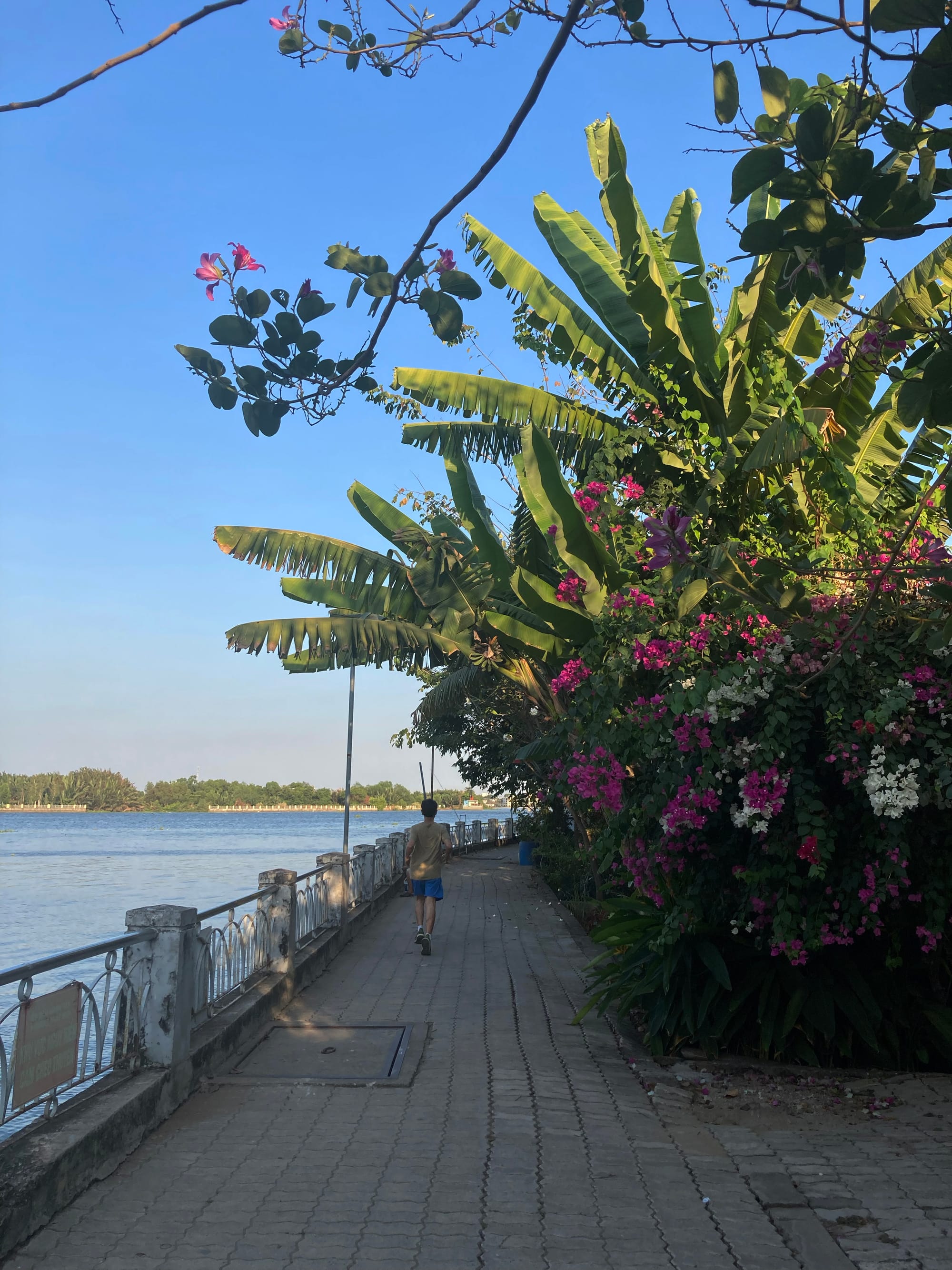 Tại sao tôi yêu Sài Gòn?