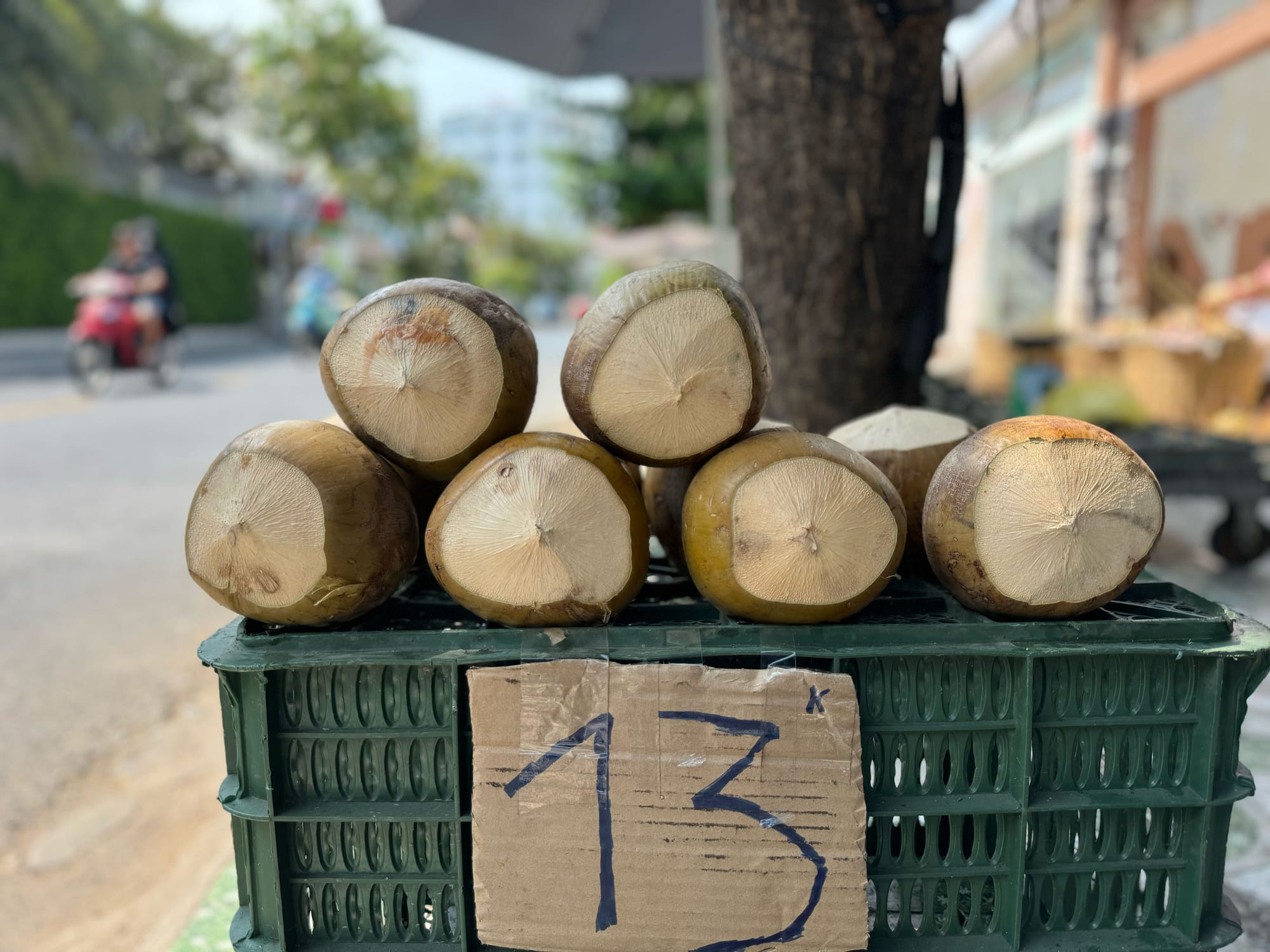 Những gì chưa biết về trái dừa