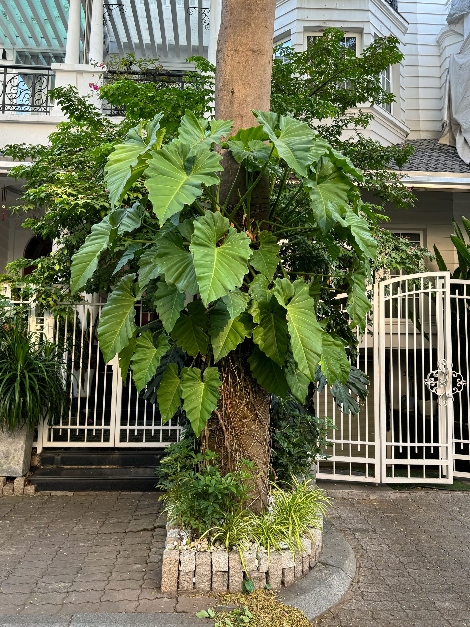 Khu Saigon Pearl