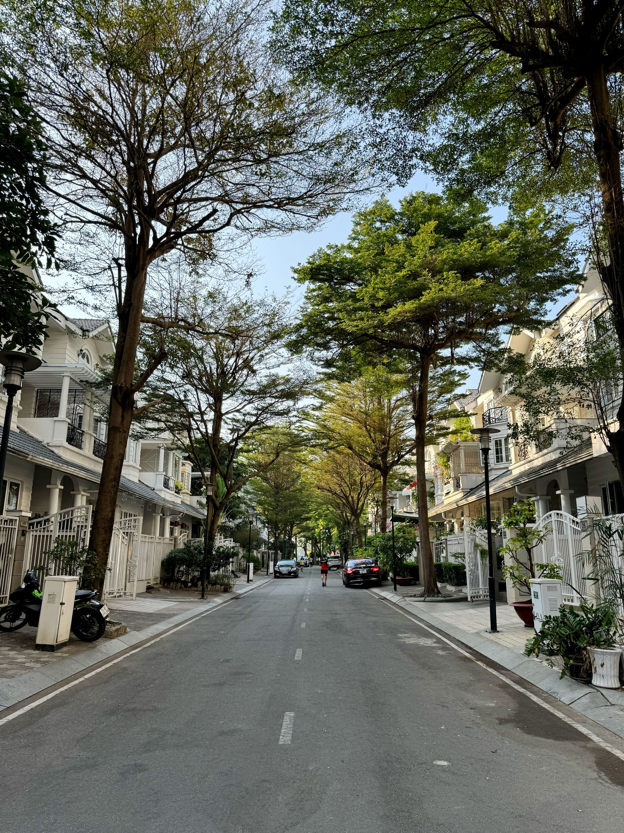 Tiểu khu Singapore