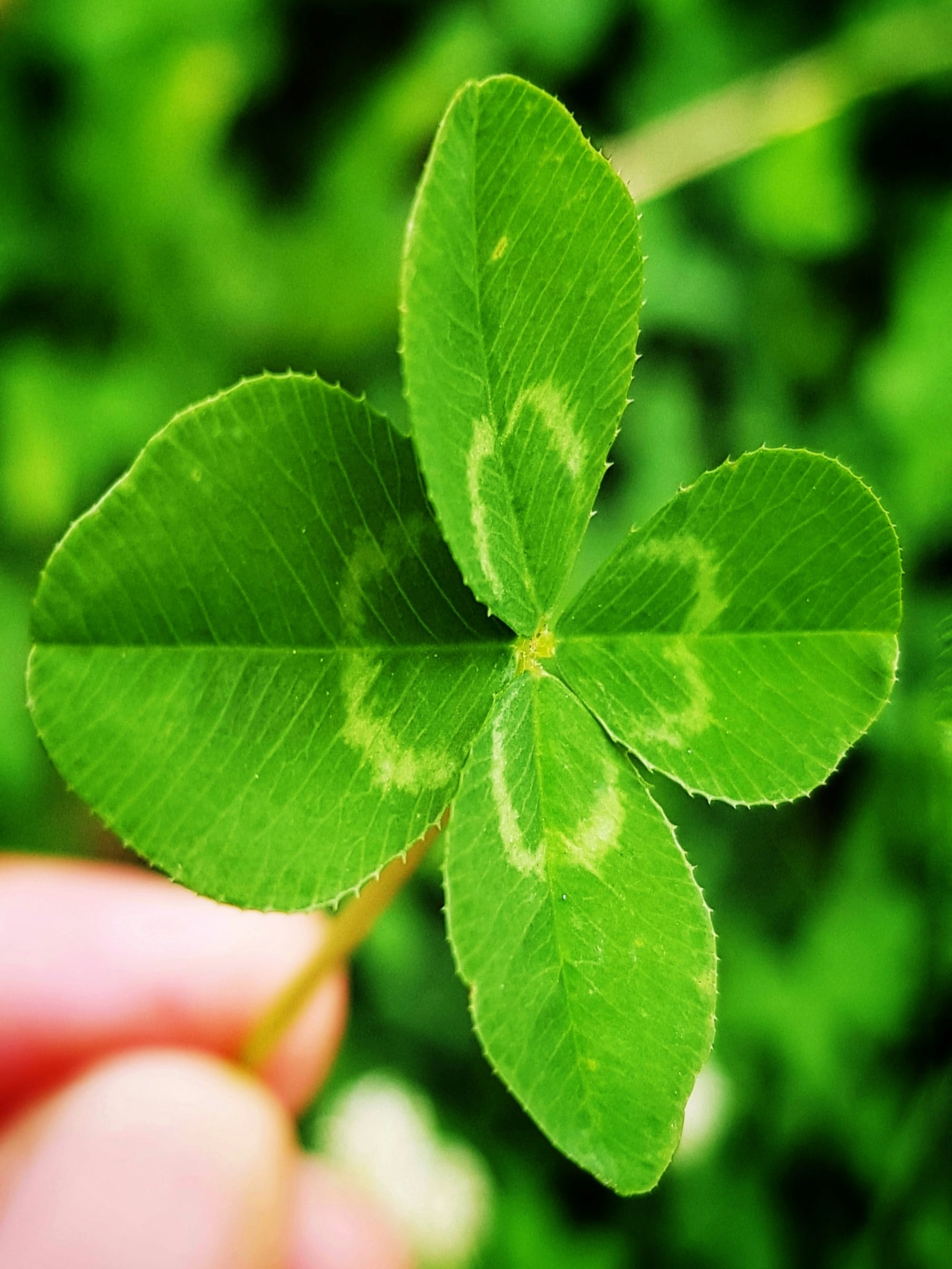 May mắn xảy ra như thế nào?