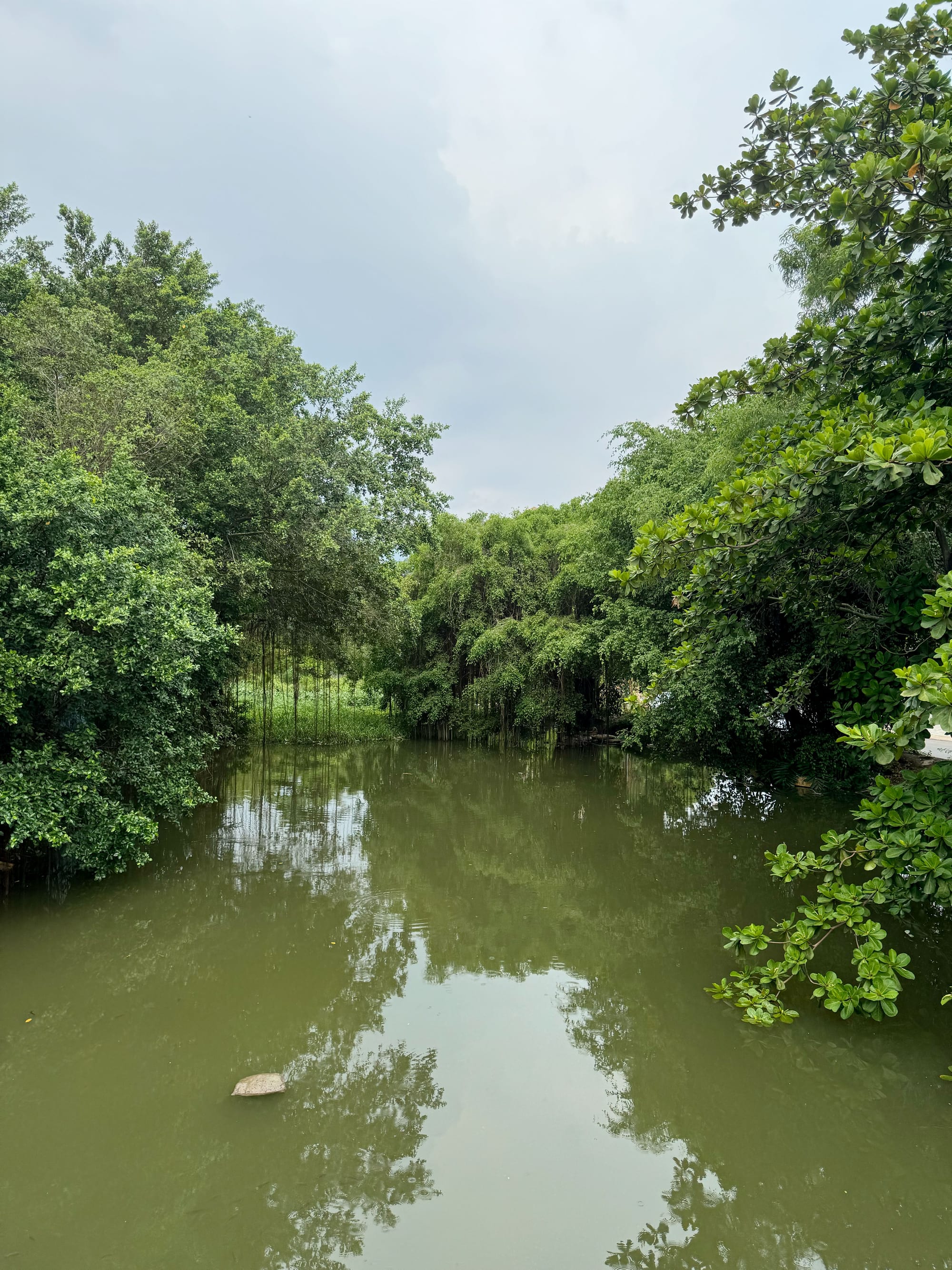 Thảo Điền