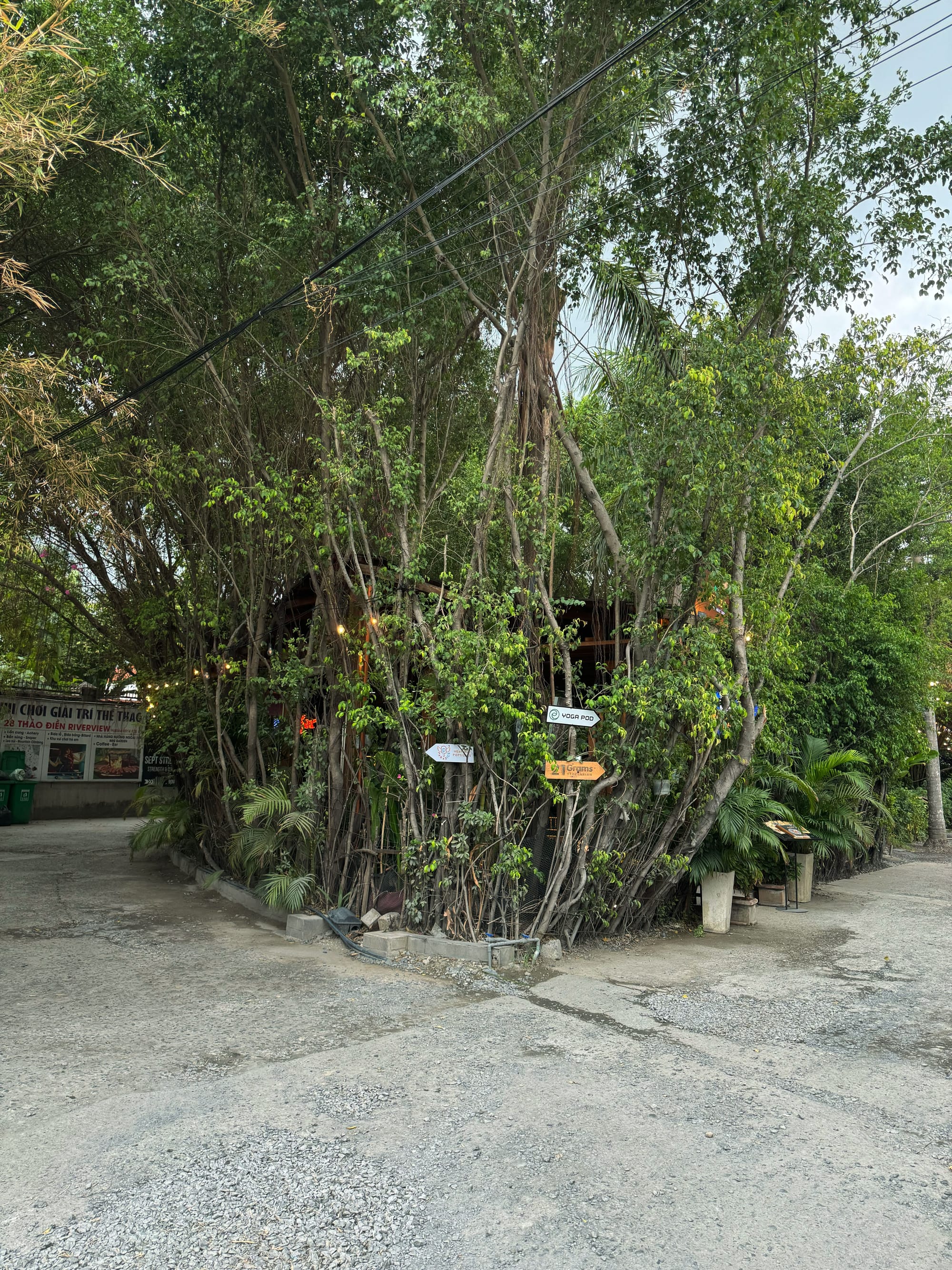 Thảo Điền