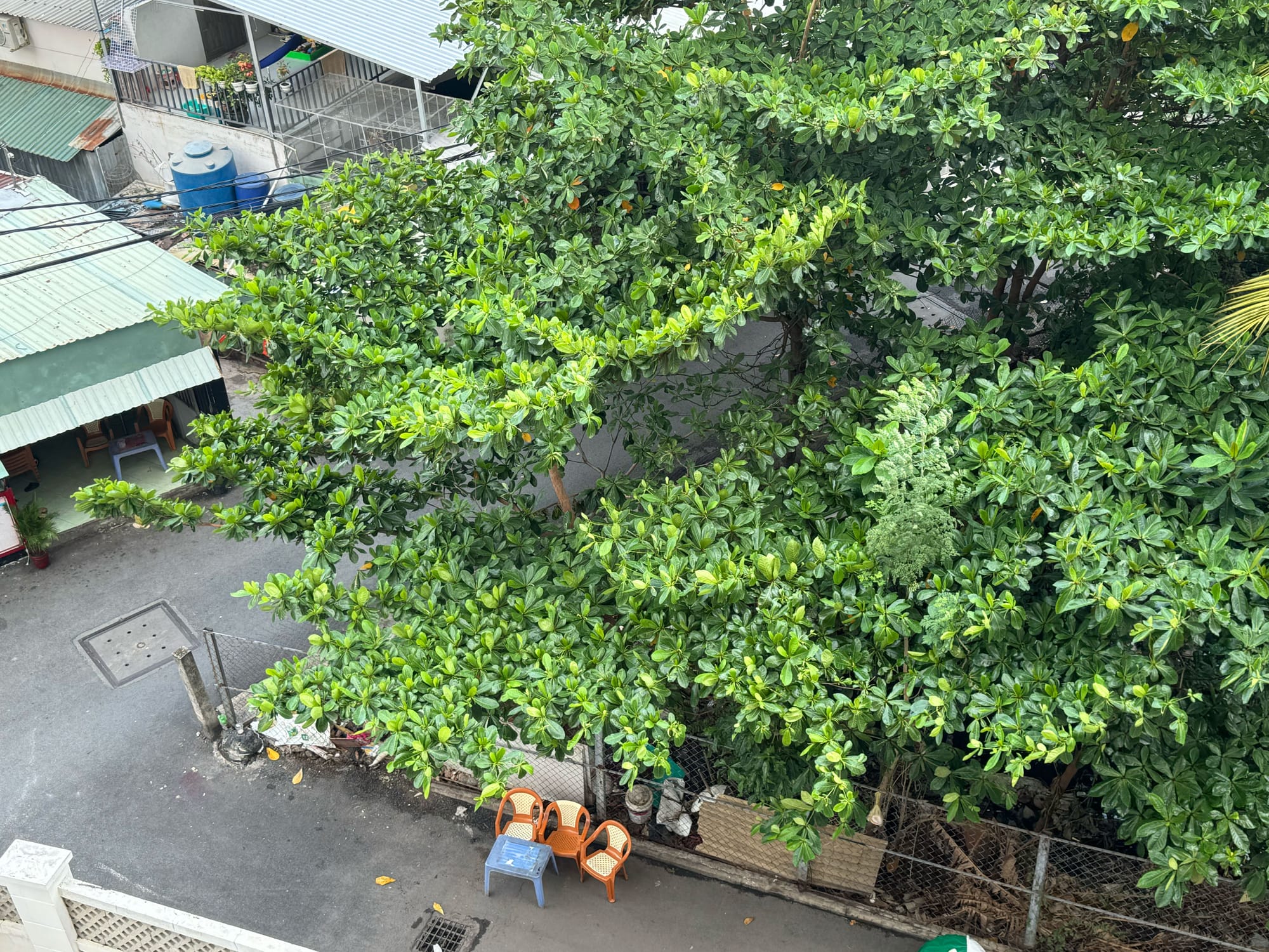 Một ngày ở Sài Gòn