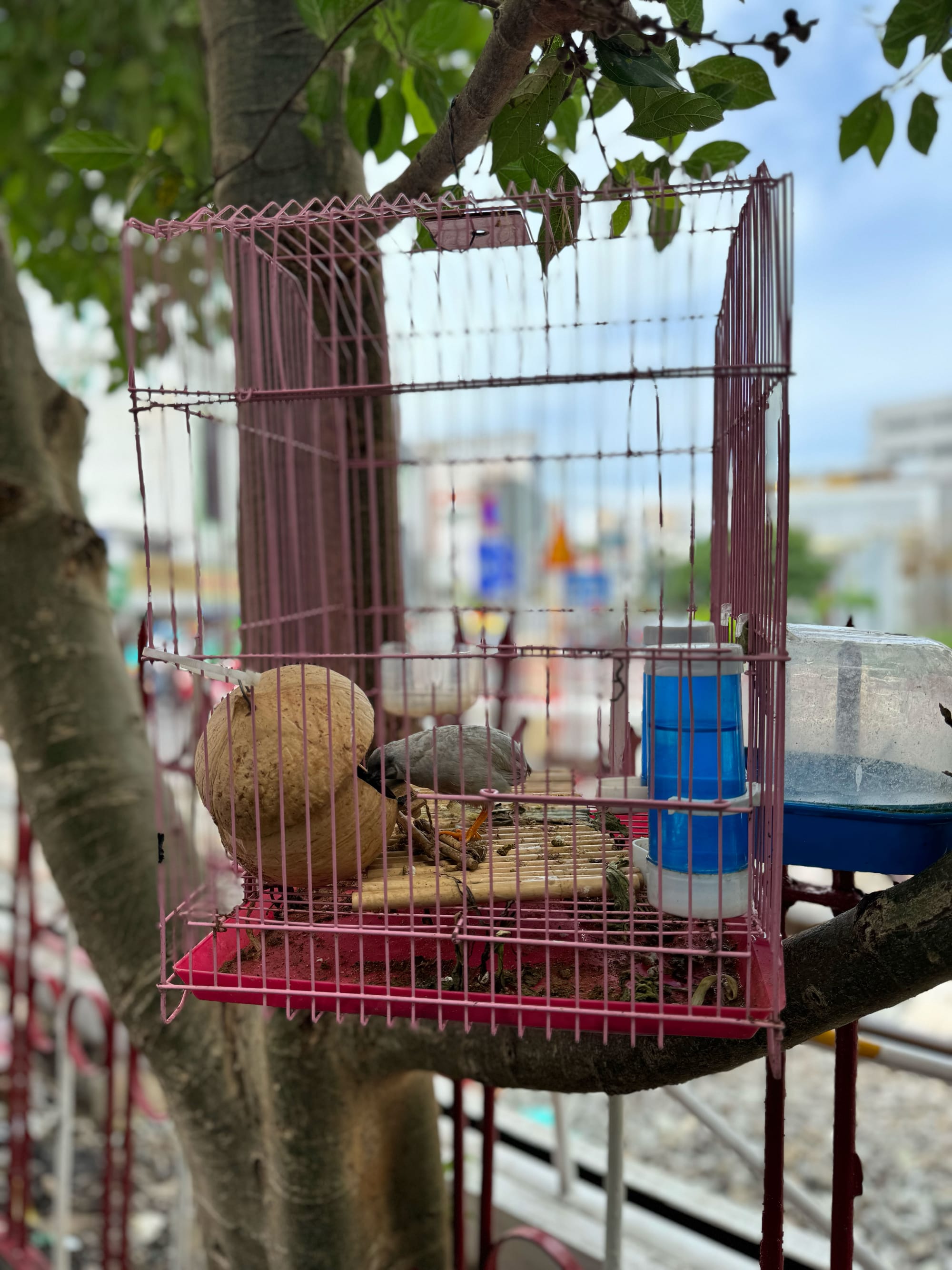 Khám phá con hẻm dài nhất Sài Gòn