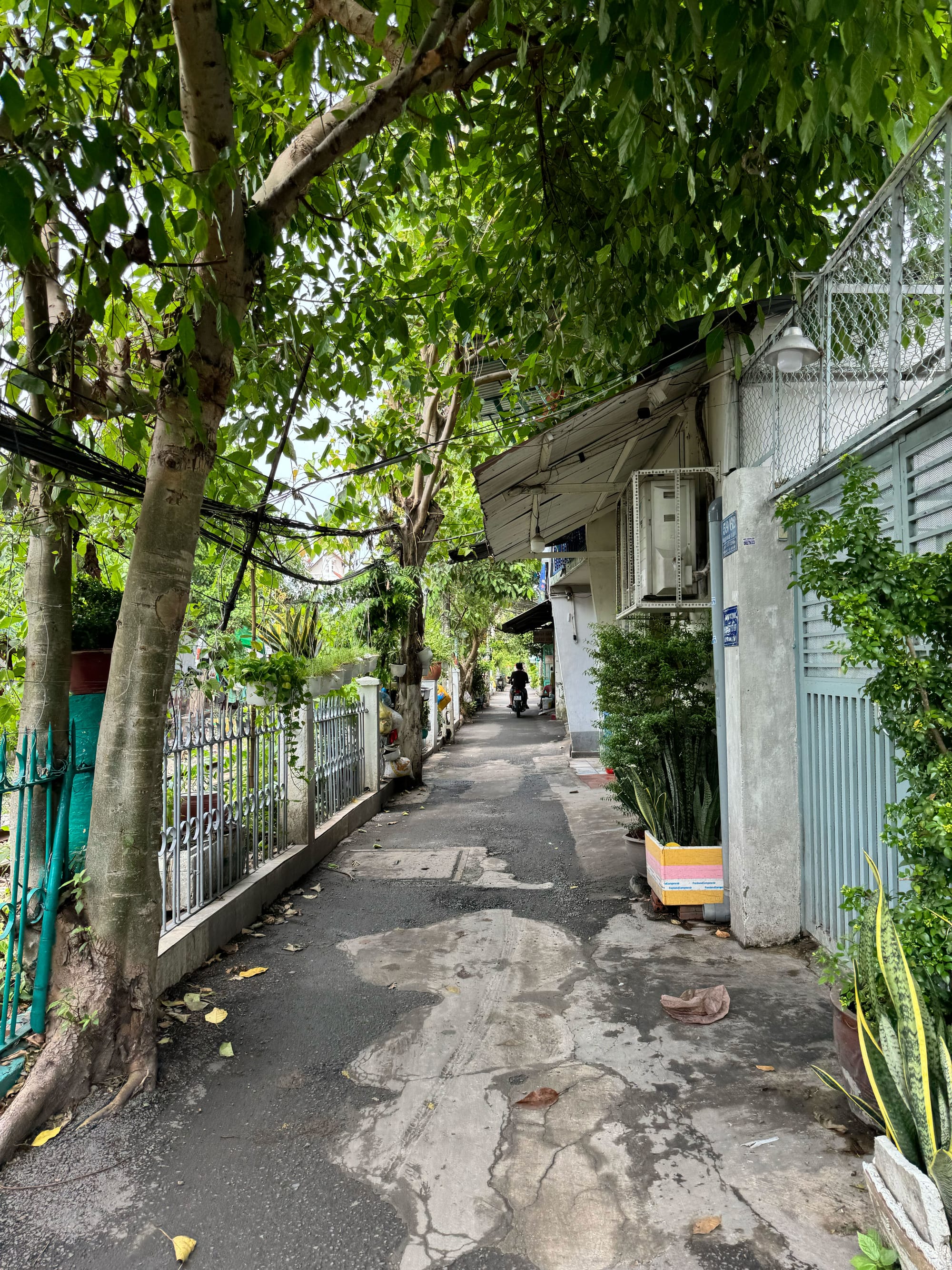Khám phá con hẻm dài nhất Sài Gòn