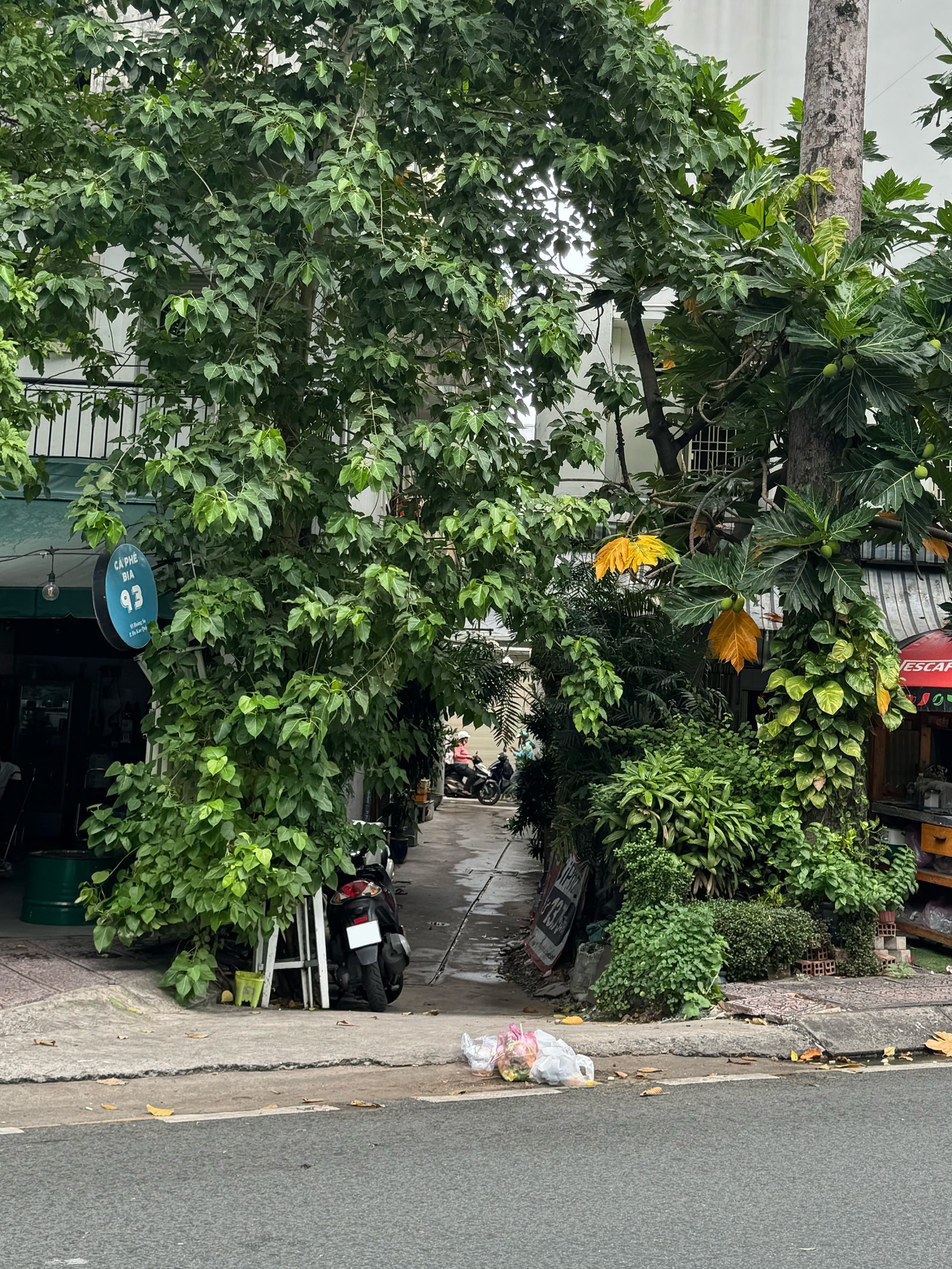 Cuối tuần trên con đường xanh