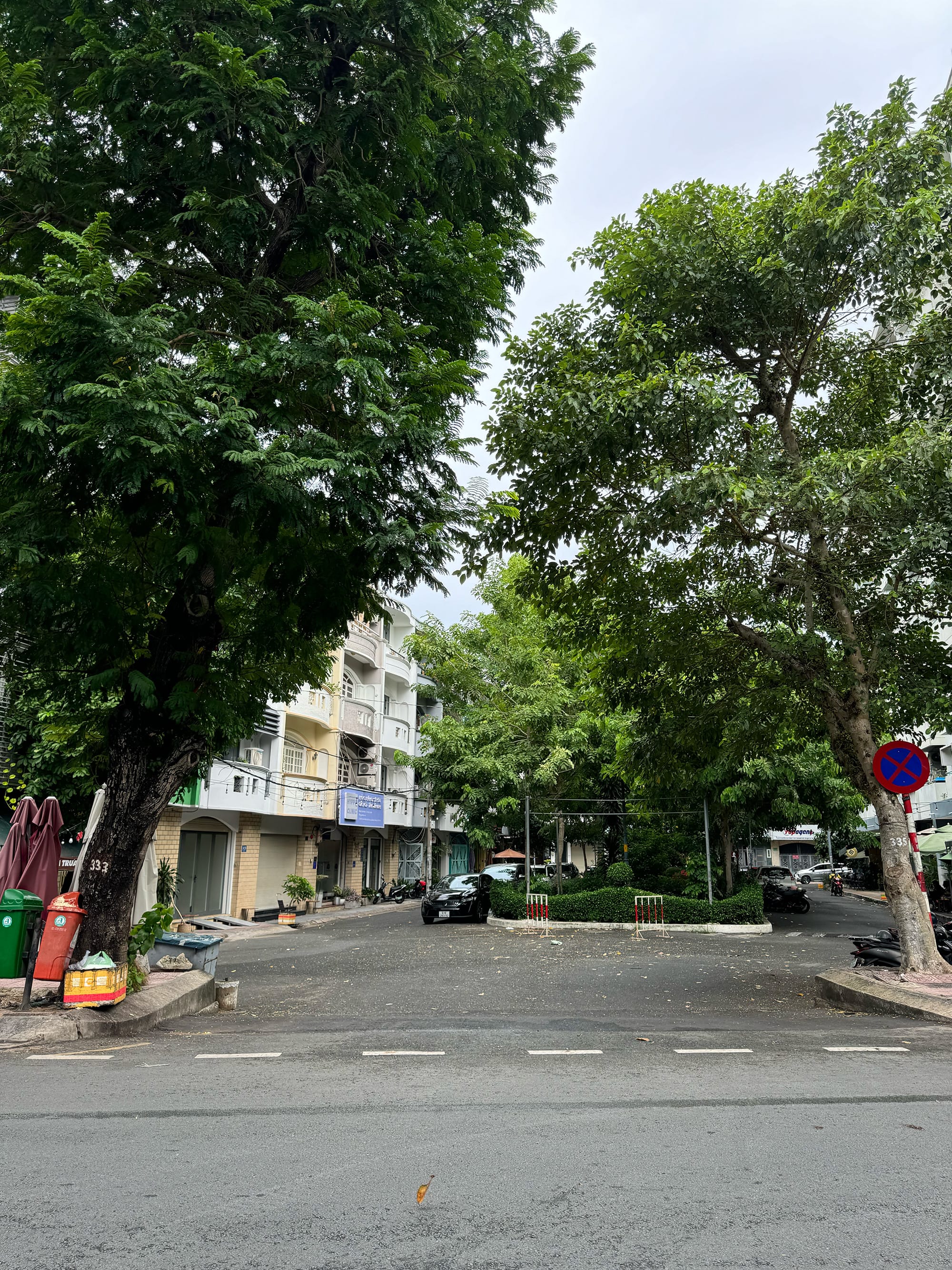 Cuối tuần trên con đường xanh