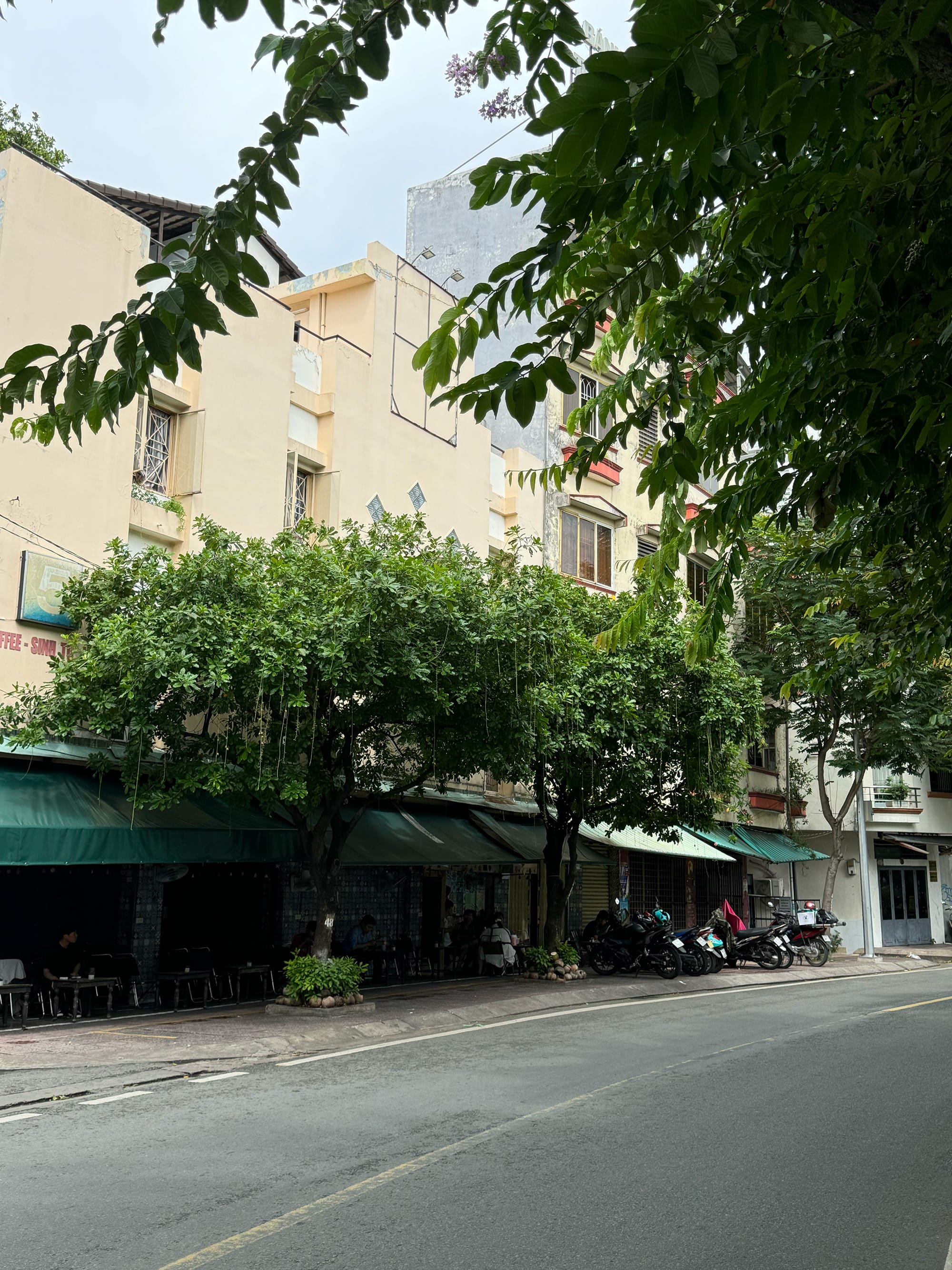 Cuối tuần trên con đường xanh
