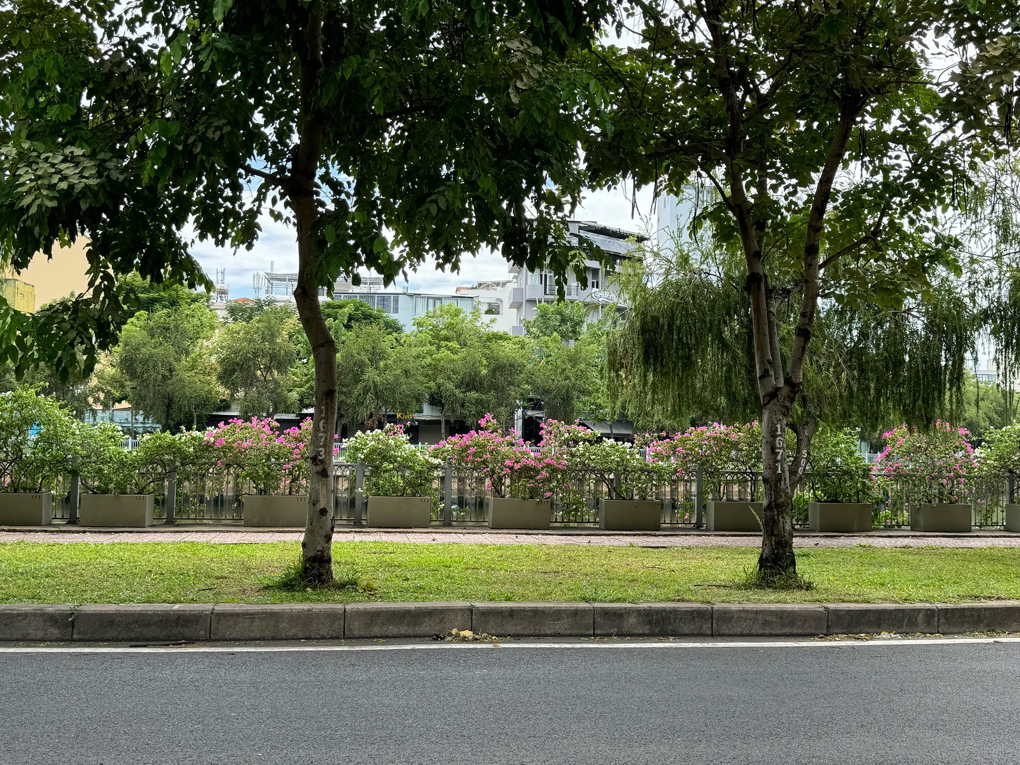 Cuối tuần trên con đường xanh