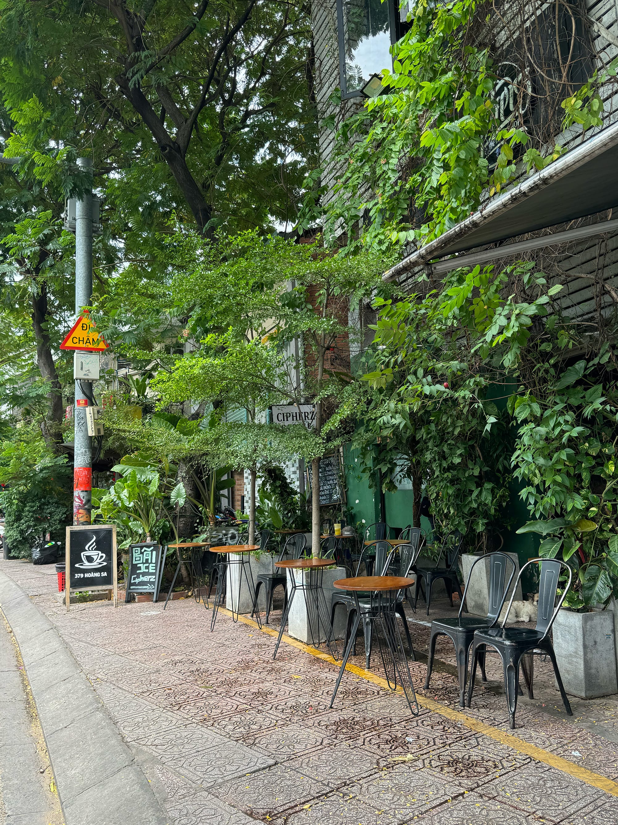 Cuối tuần trên con đường xanh