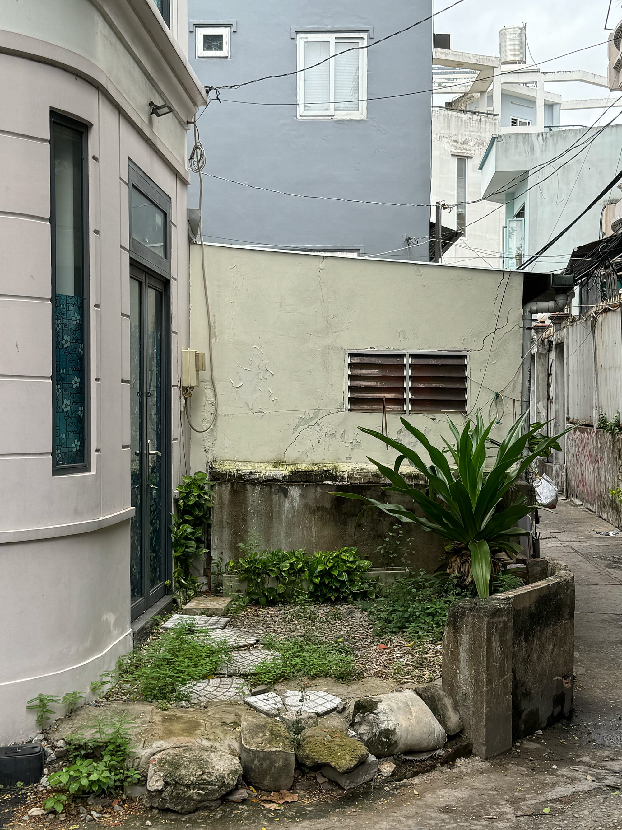 Cuối tuần trên con đường xanh