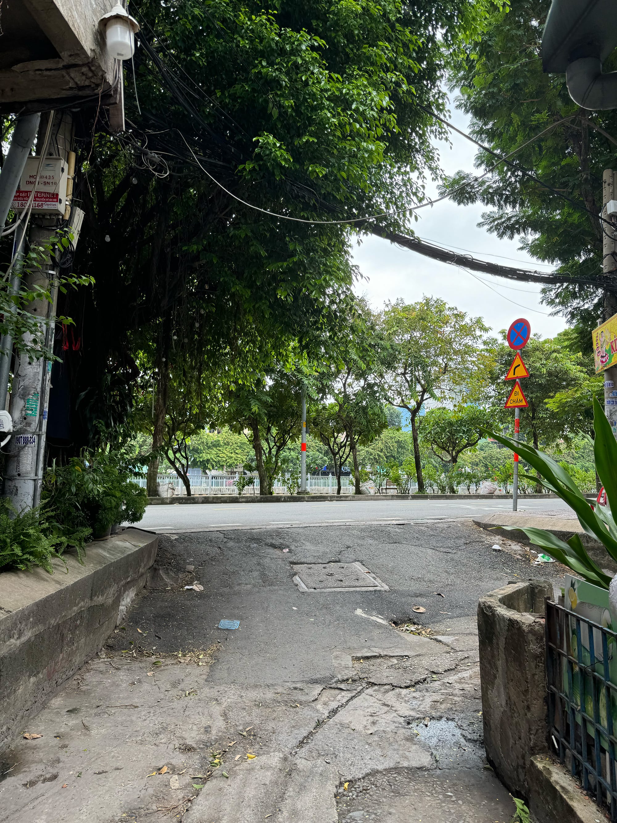 Cuối tuần trên con đường xanh