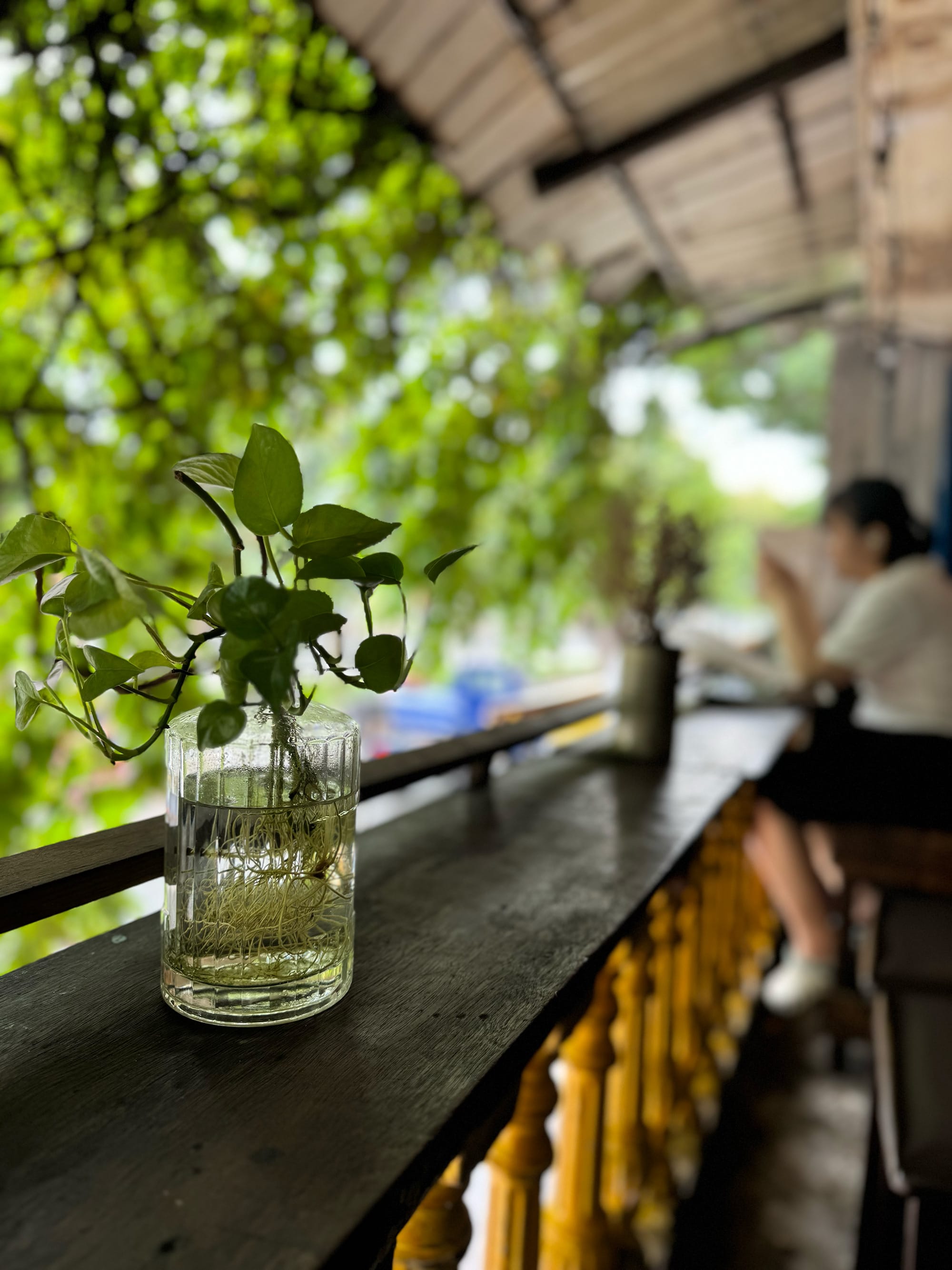 Cuối tuần trên con đường xanh