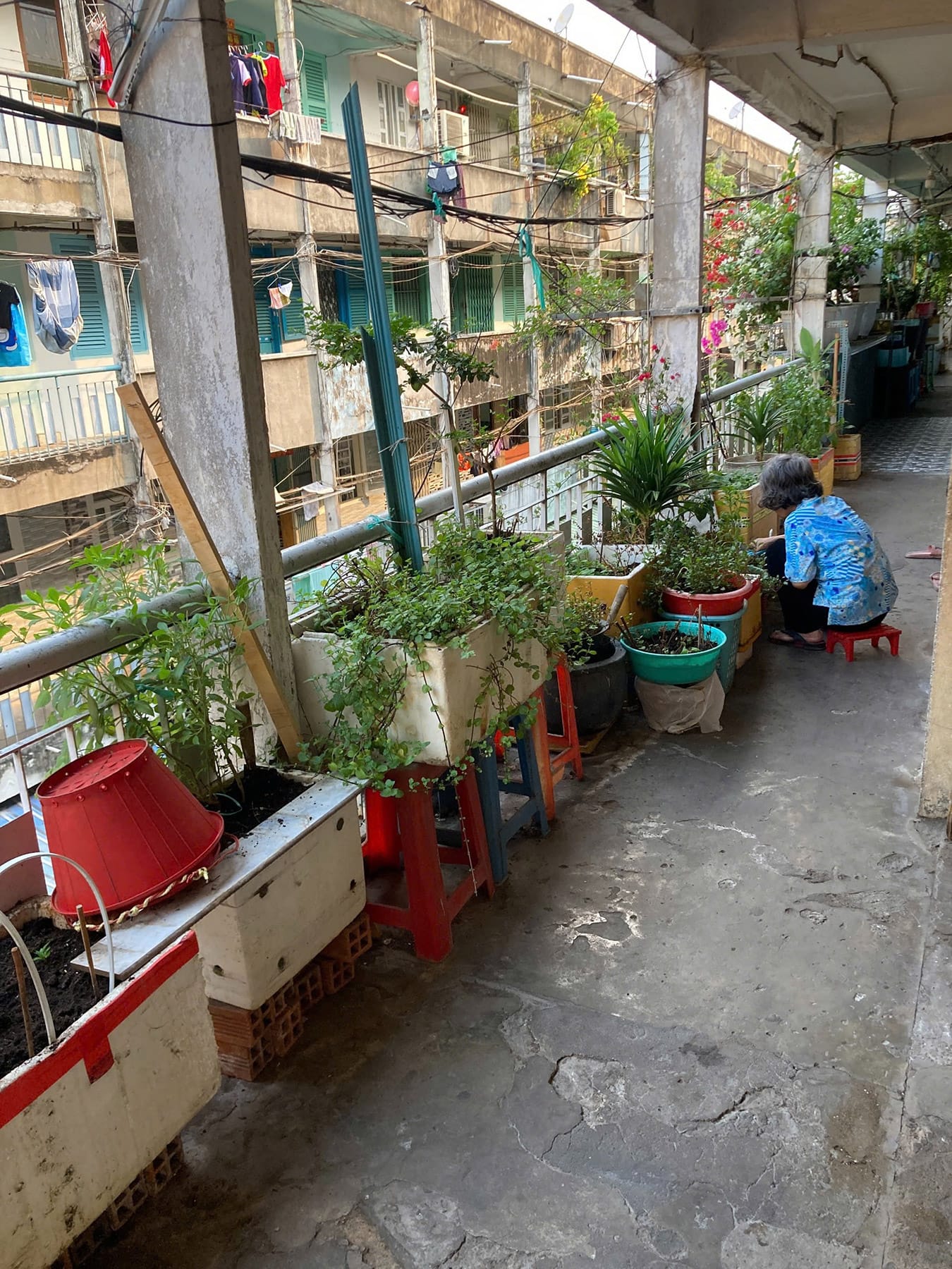 Những bất ngờ bên trong chung cư cũ