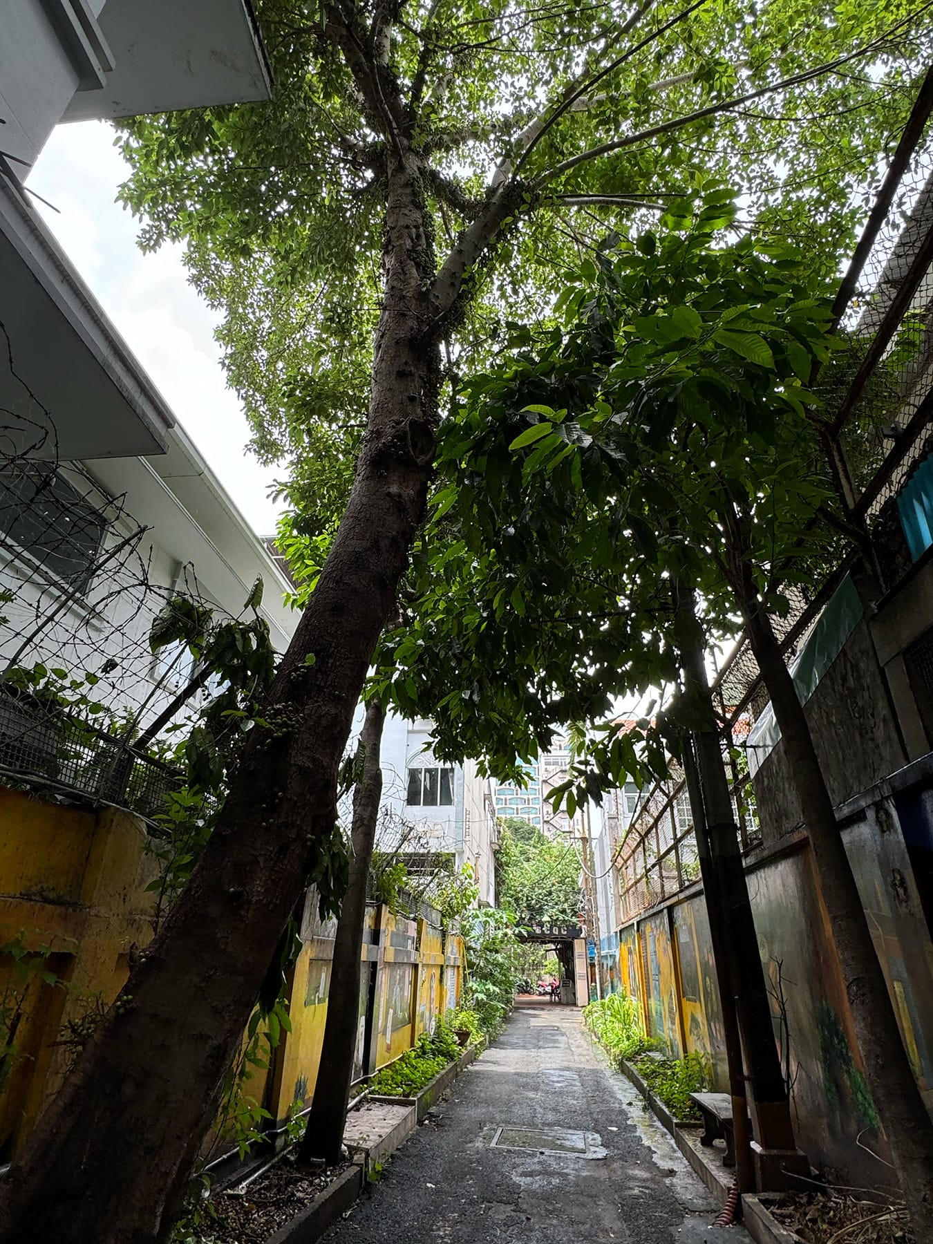 Chill trong những con hẻm không tên