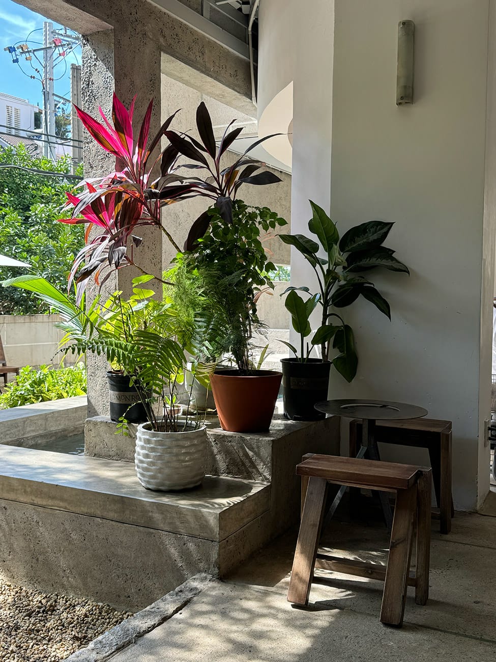Chill trong những quán cà phê ẩn dật Thảo Điền