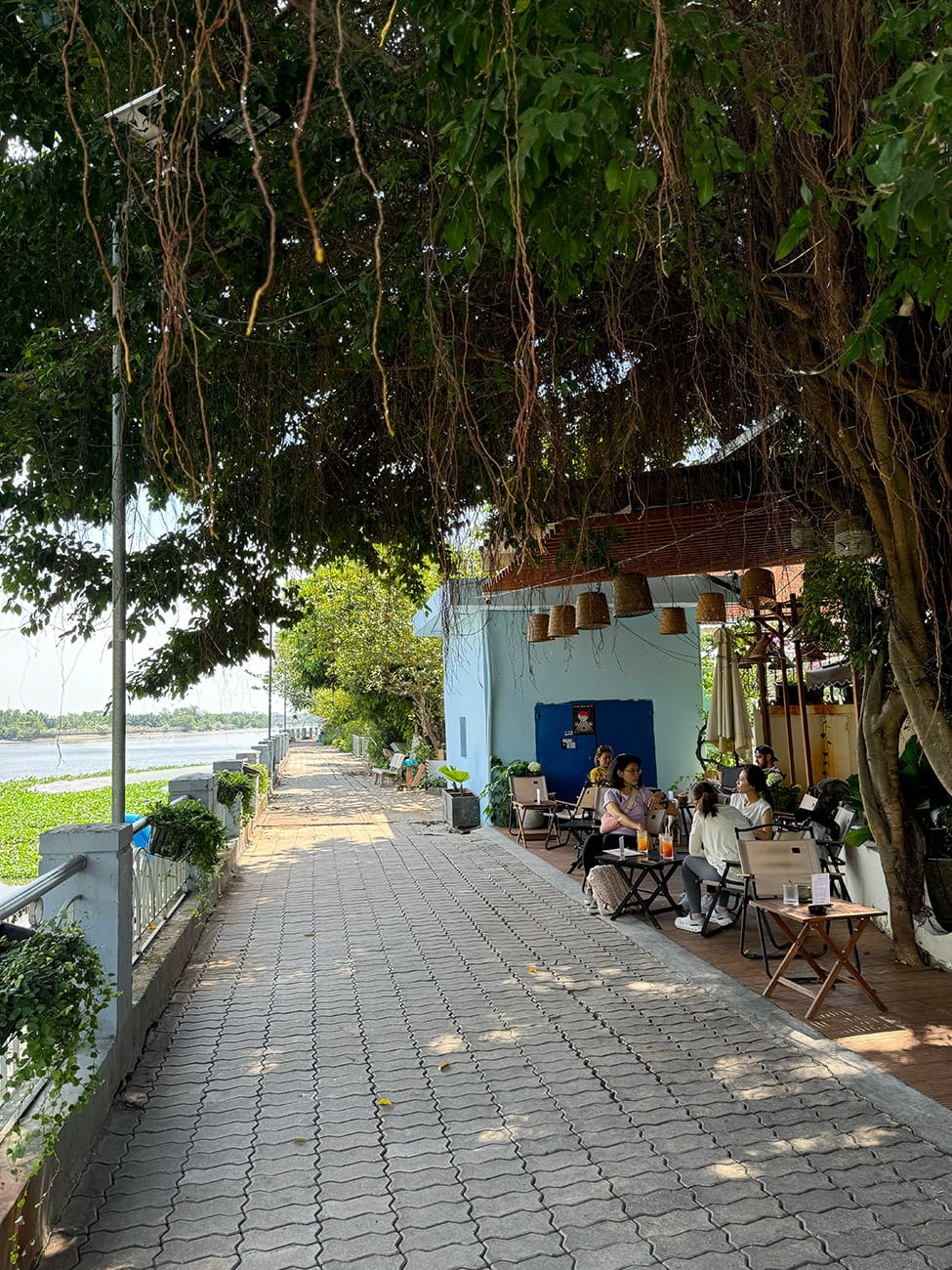 Chill trong những quán cà phê ẩn dật Thảo Điền