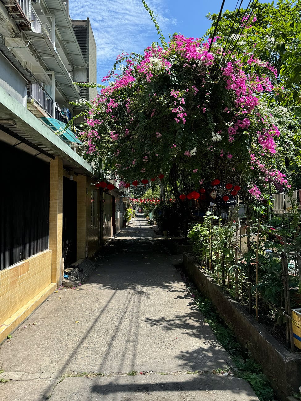 Trôi giữa hai bán đảo phù hoa