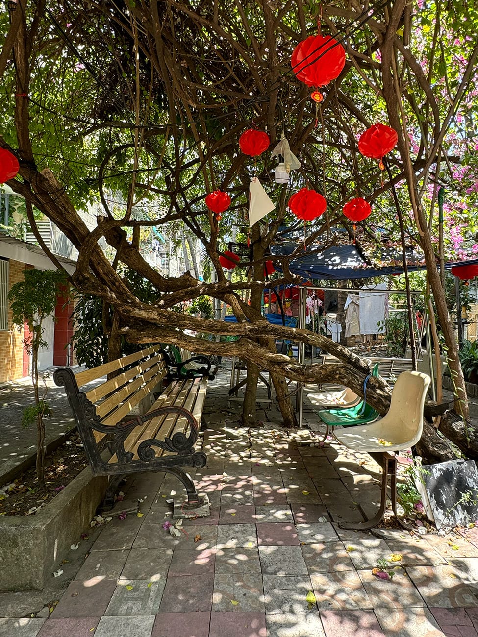 Trôi giữa hai bán đảo phù hoa