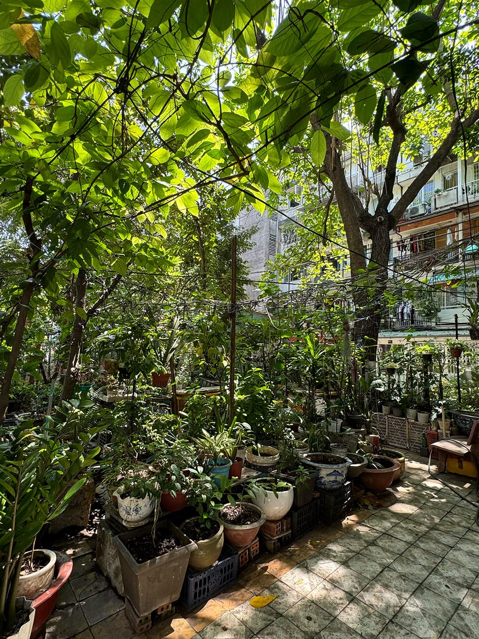 Trôi giữa hai bán đảo phù hoa