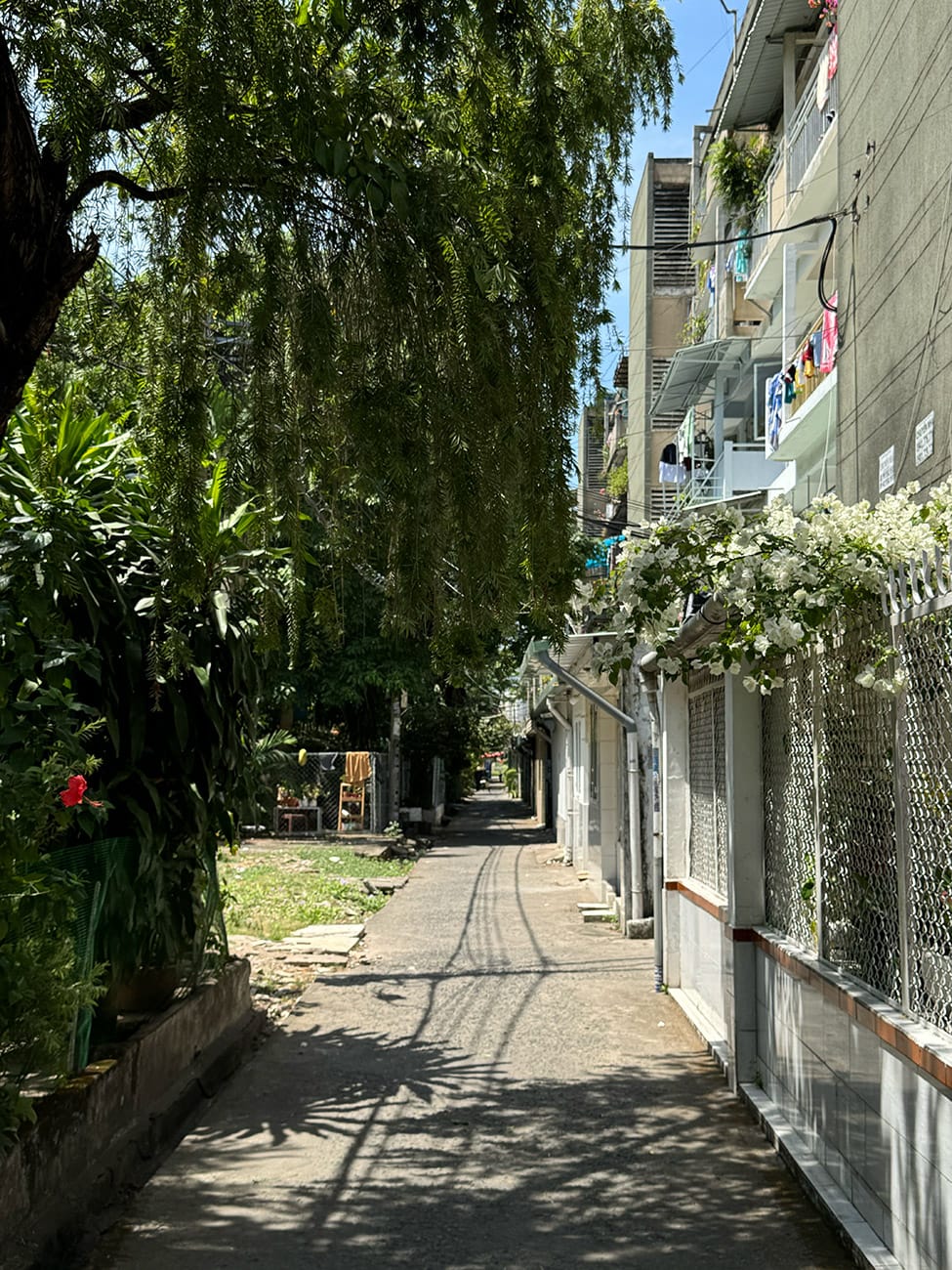 Trôi giữa hai bán đảo phù hoa