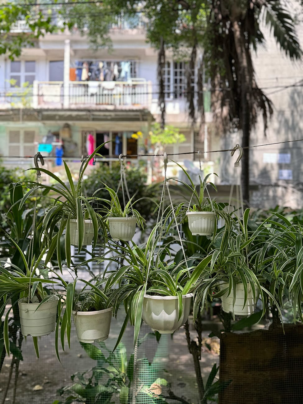 Trôi giữa hai bán đảo phù hoa