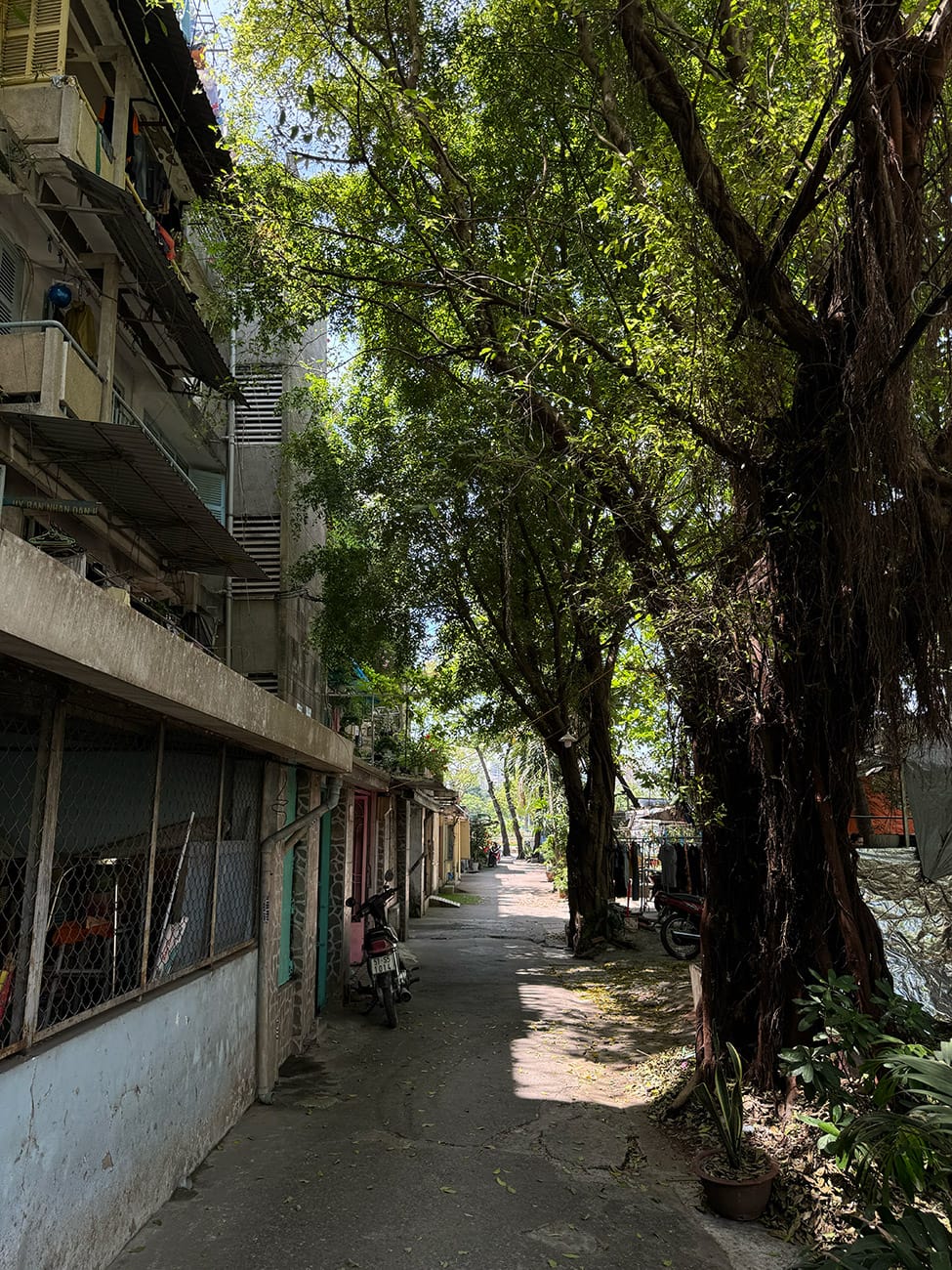 Trôi giữa hai bán đảo phù hoa