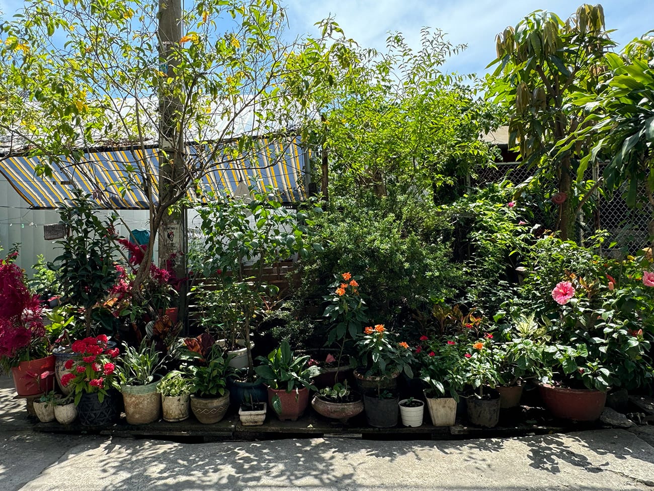 Trôi giữa hai bán đảo phù hoa