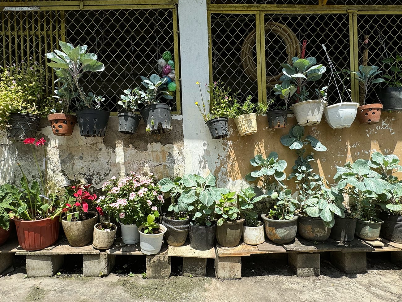 Trôi giữa hai bán đảo phù hoa